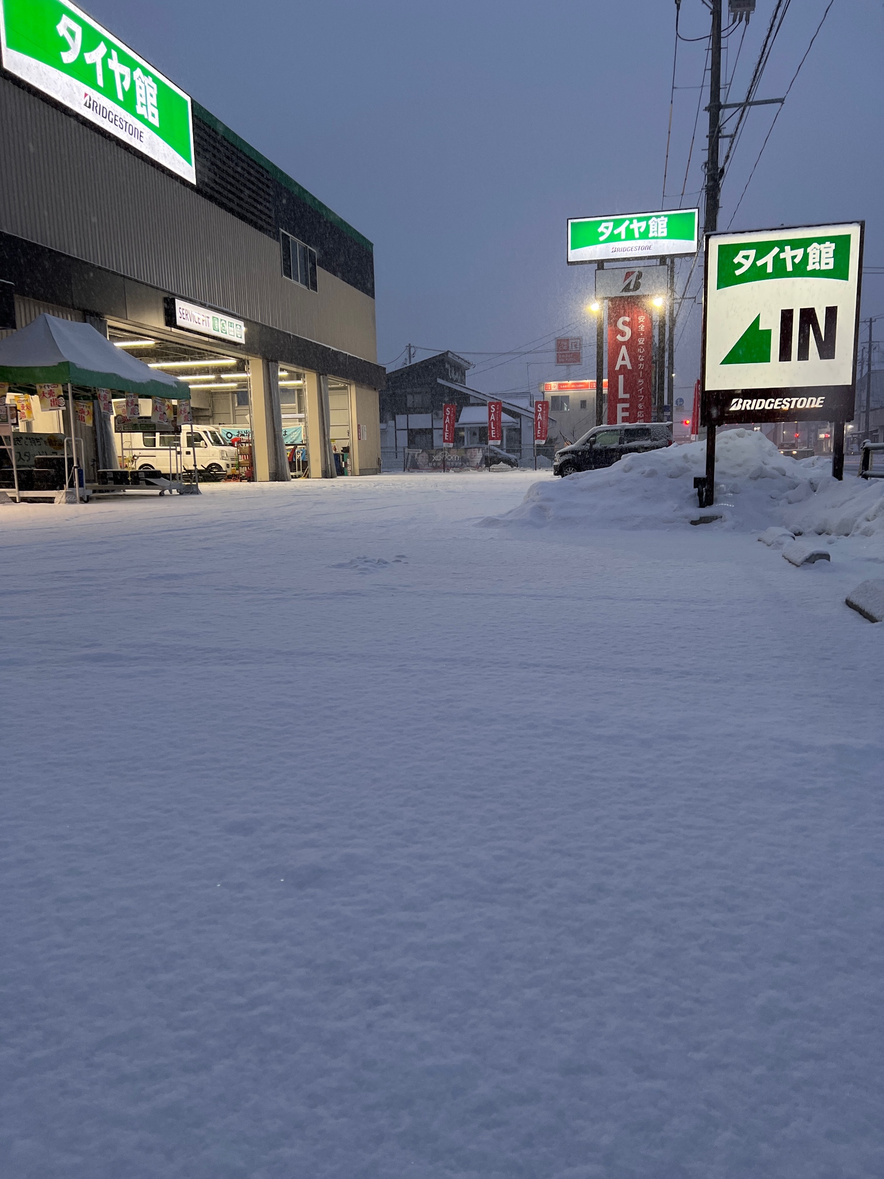 スタッフ撮影です