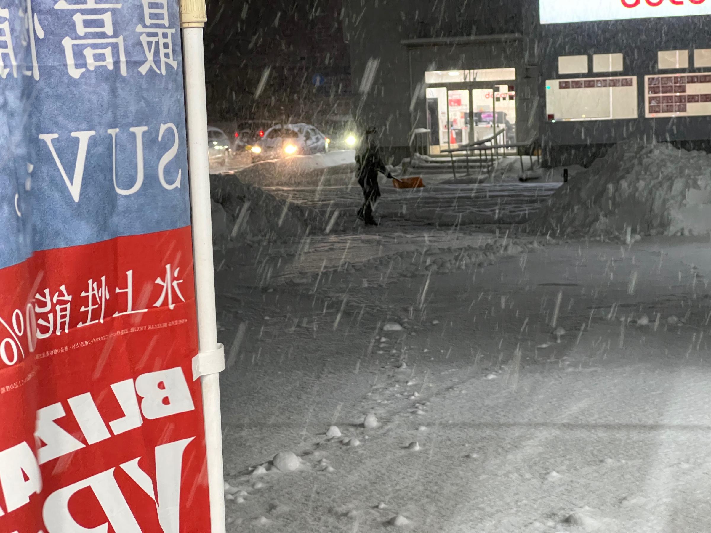 スタッフ撮影です