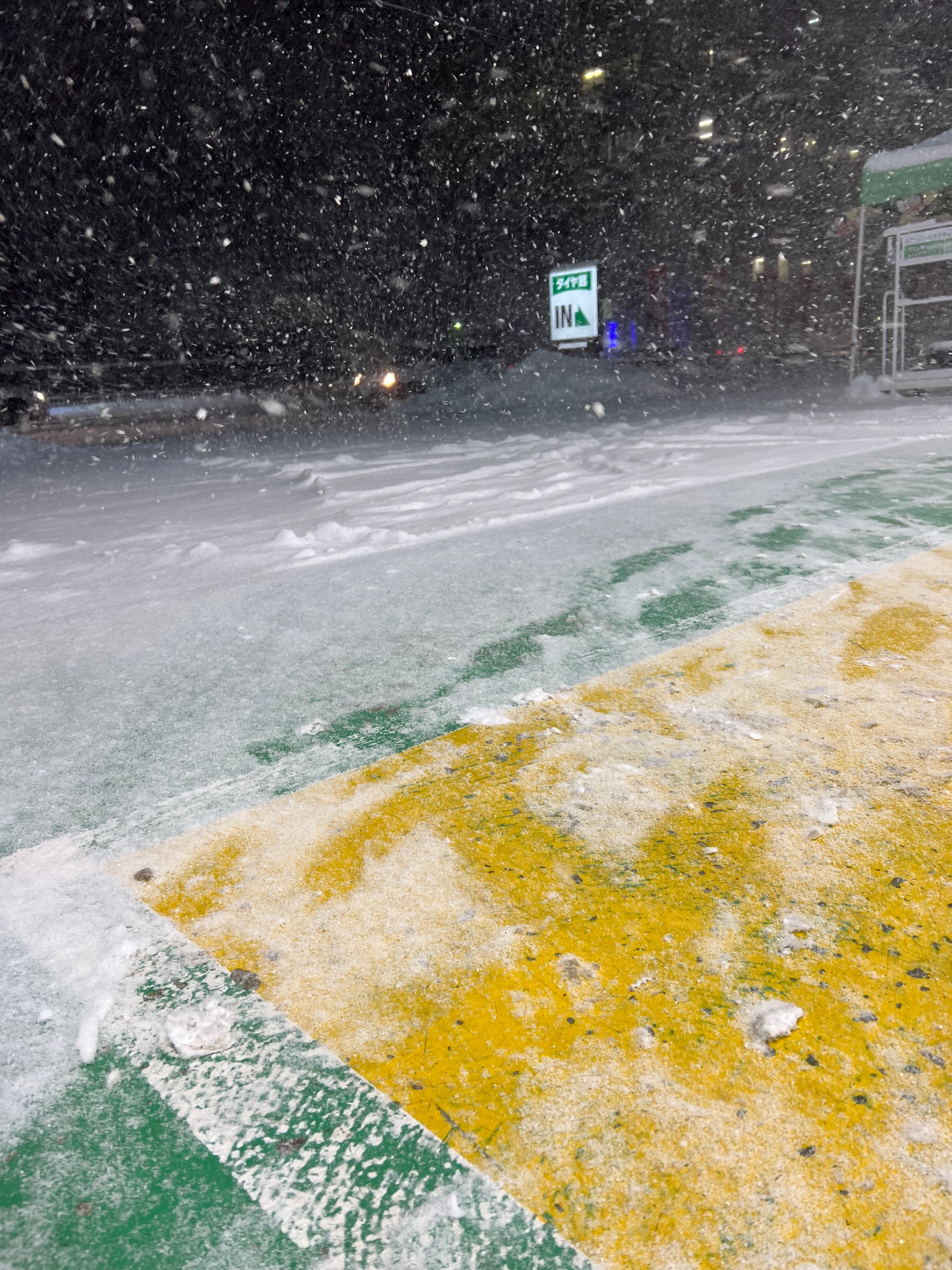 スタッフ撮影です