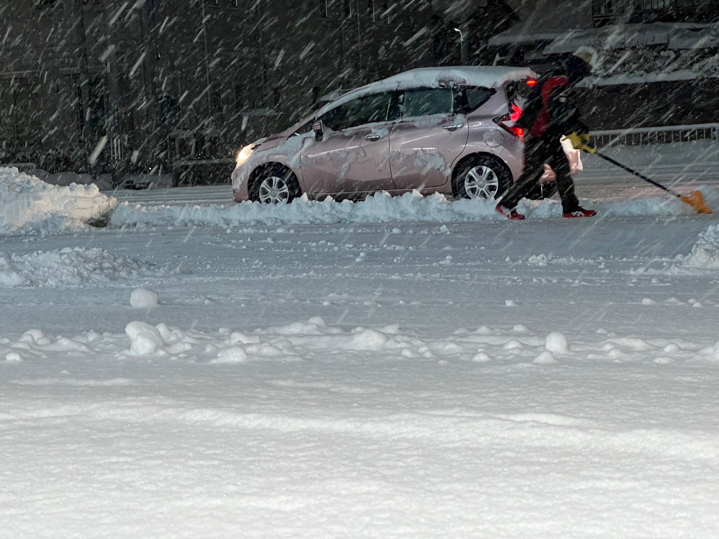 スタッフ撮影です