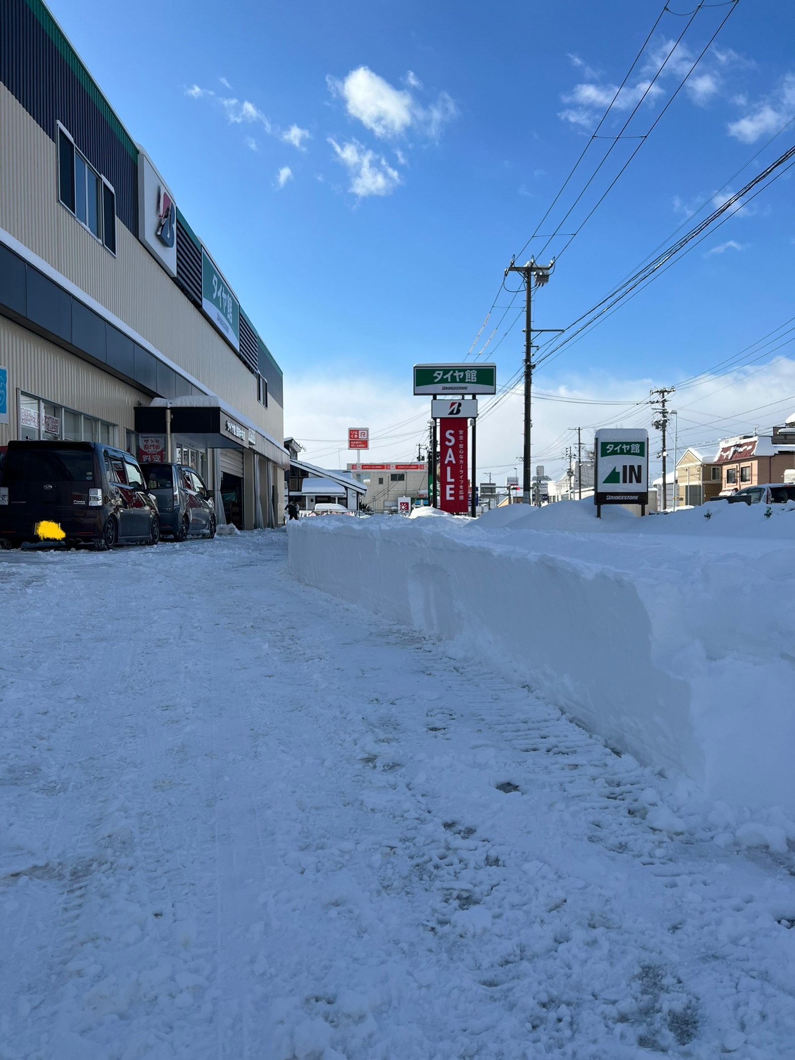 スタッフ撮影です