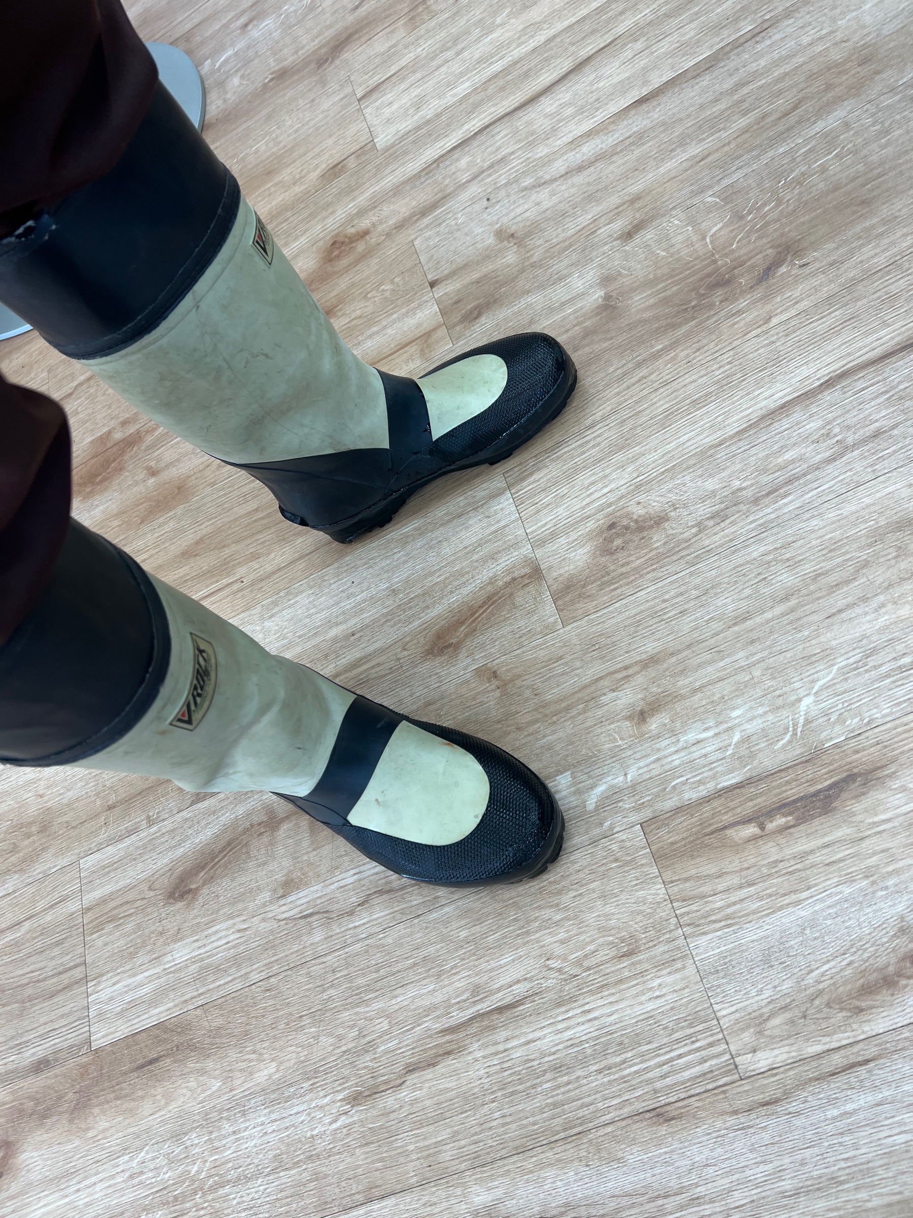 スタッフ撮影です