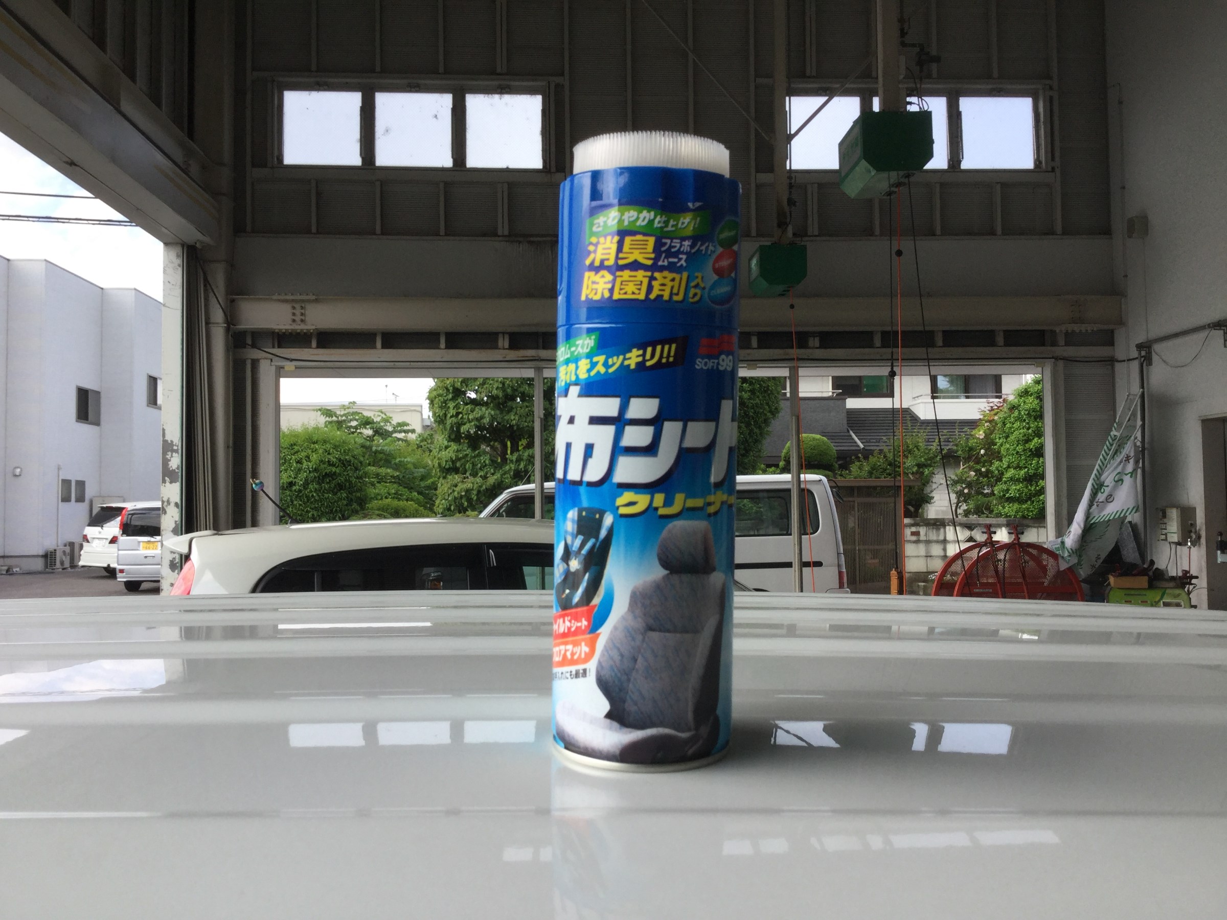 自分で撮影しました