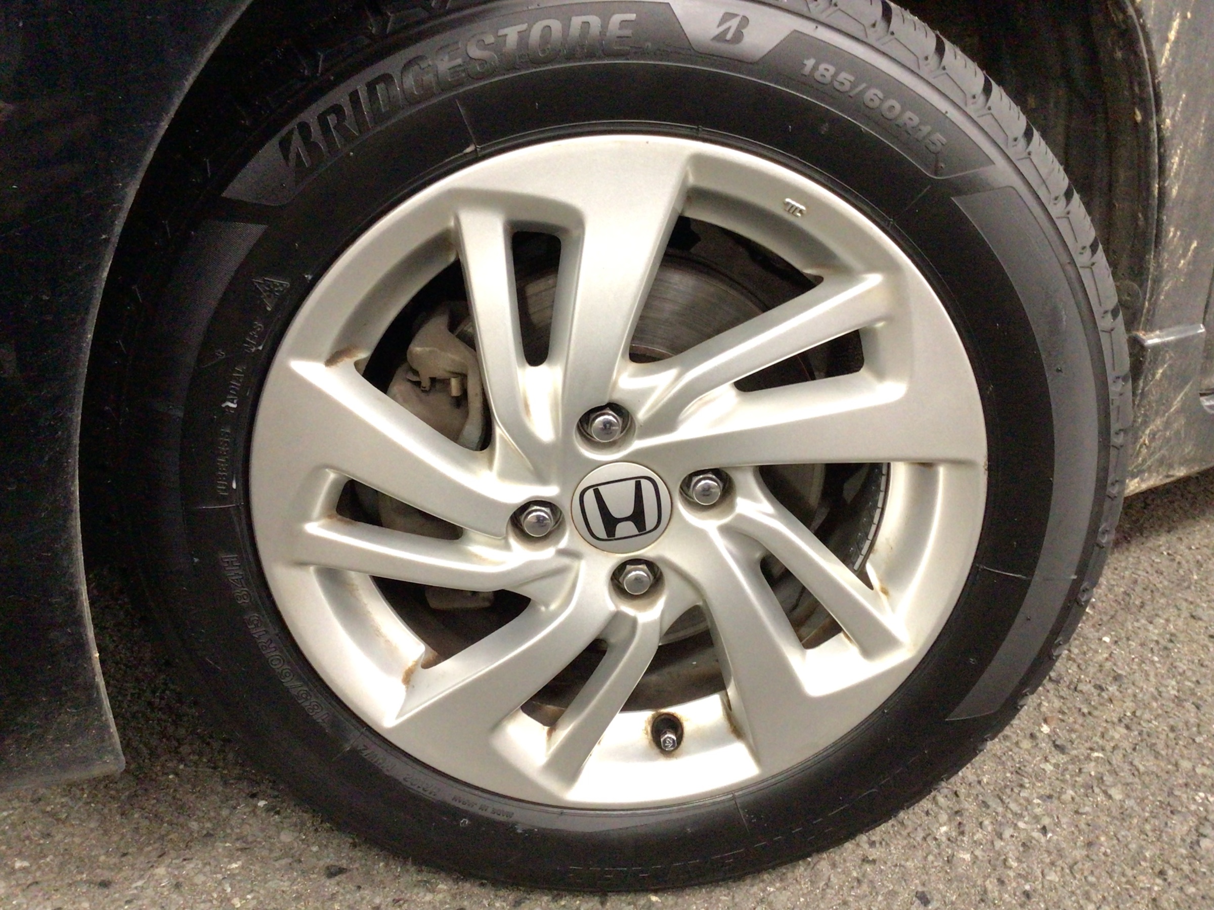 スタッフ撮影分