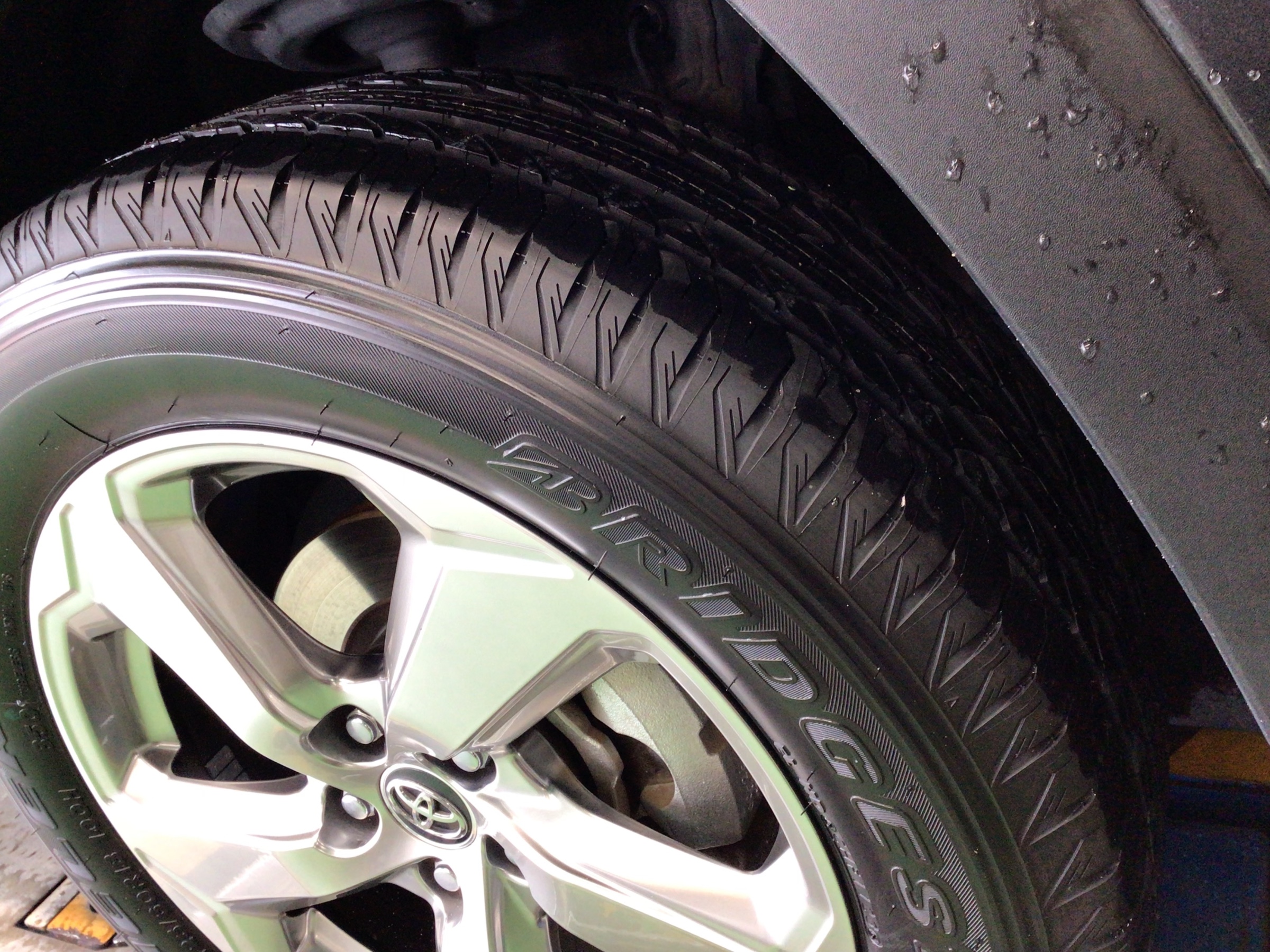 スタッフ撮影分