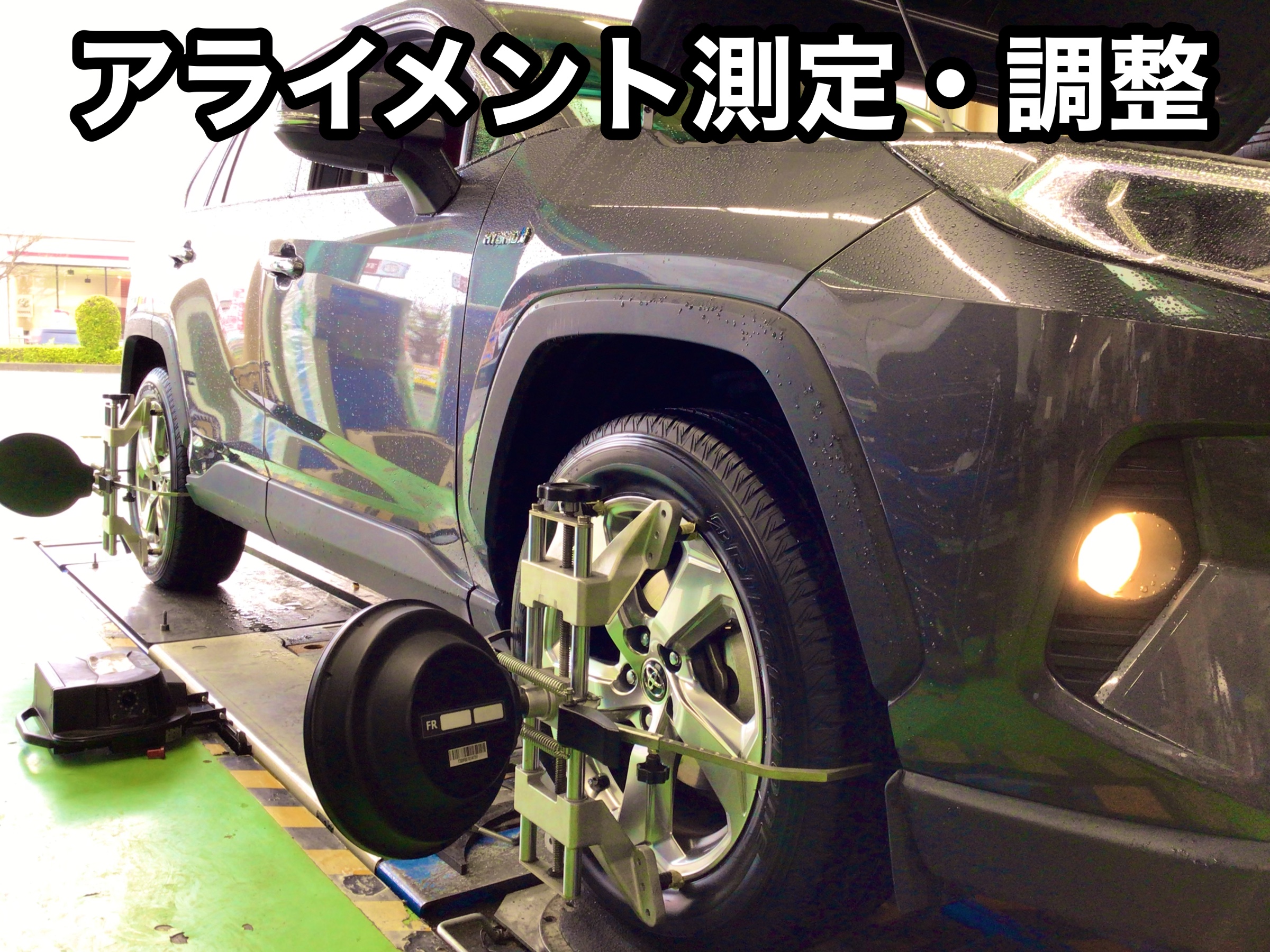 スタッフ撮影分