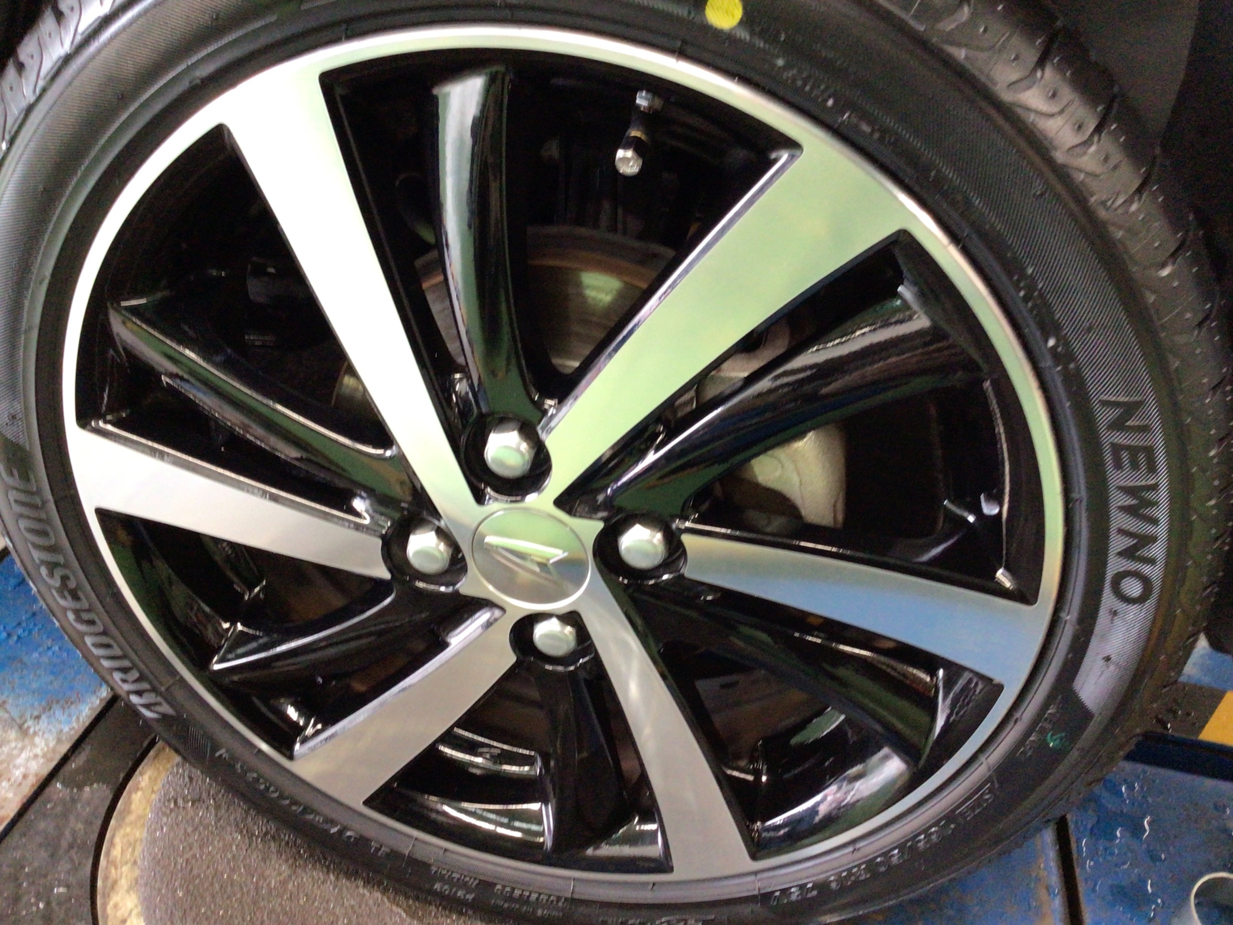 スタッフ撮影分