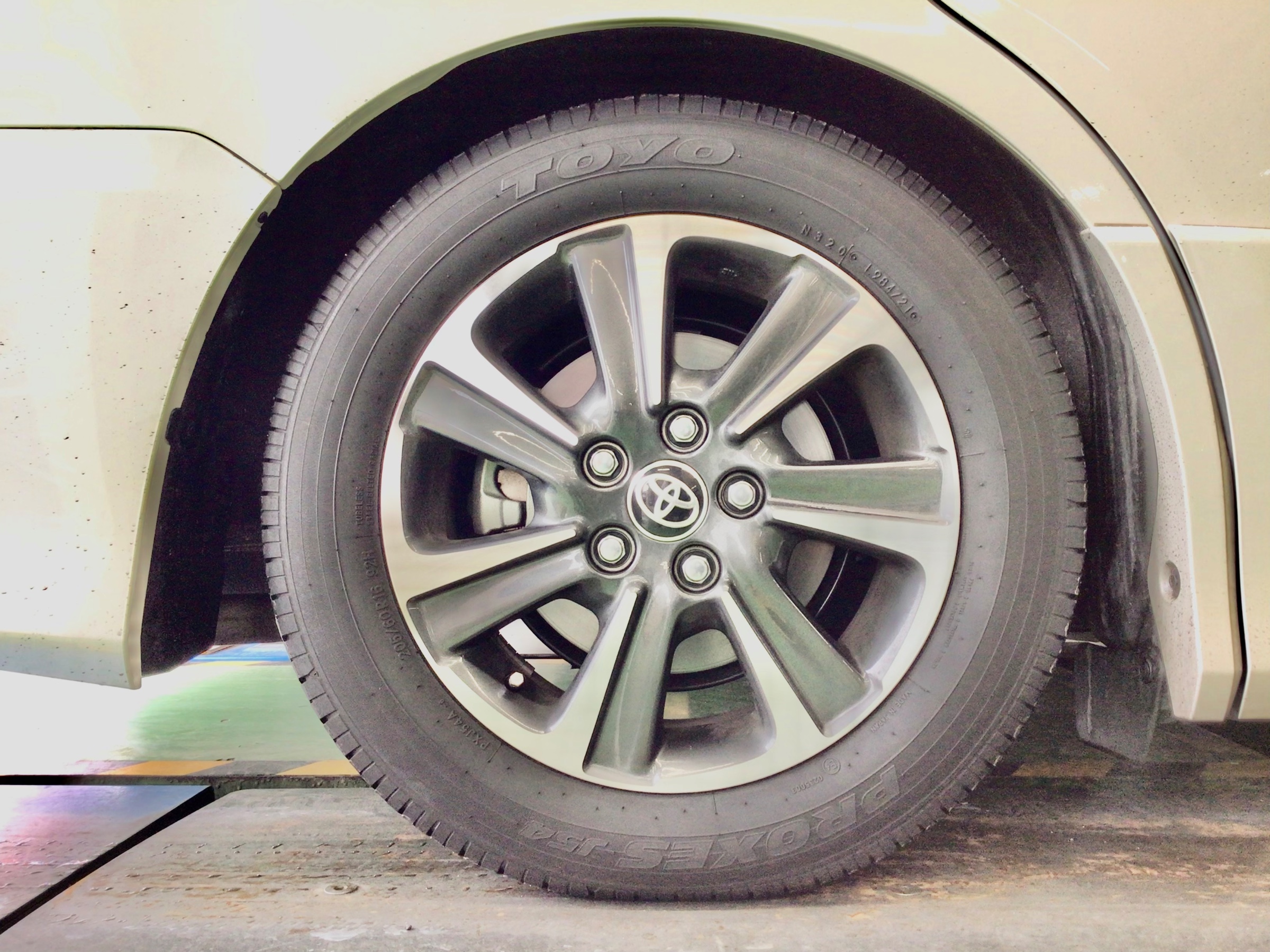 スタッフ撮影分