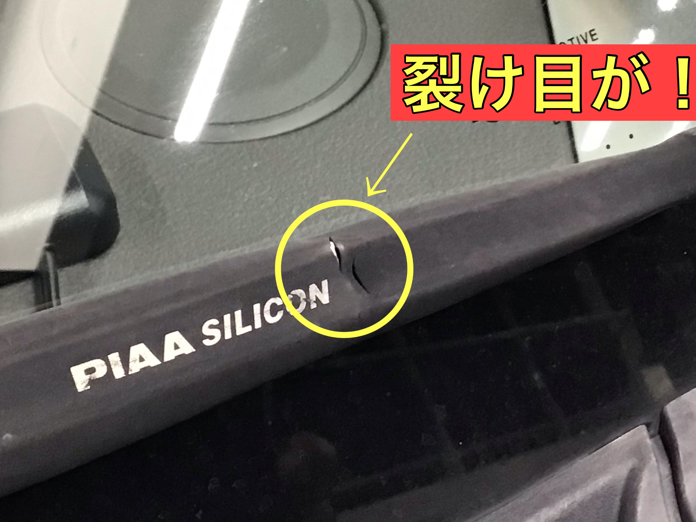 スタッフ撮影画像です