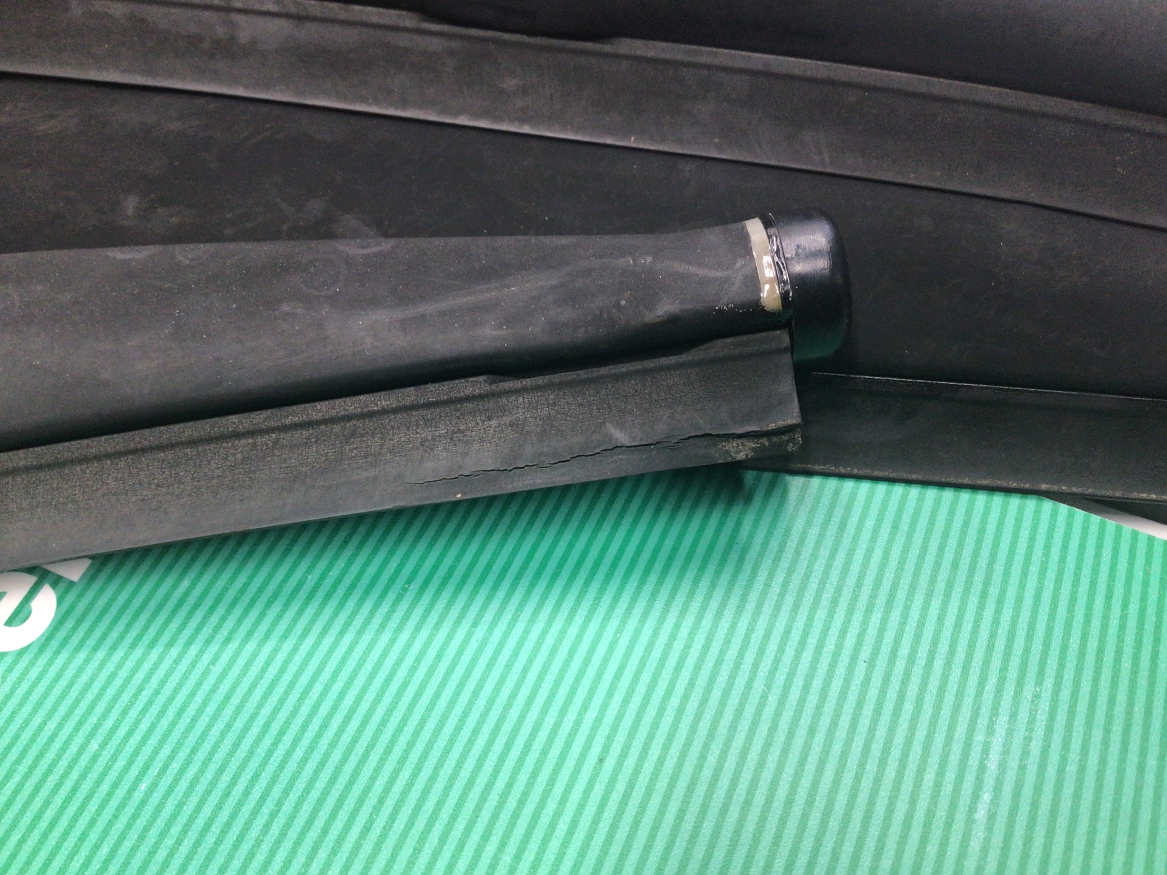 スタッフ撮影画像です