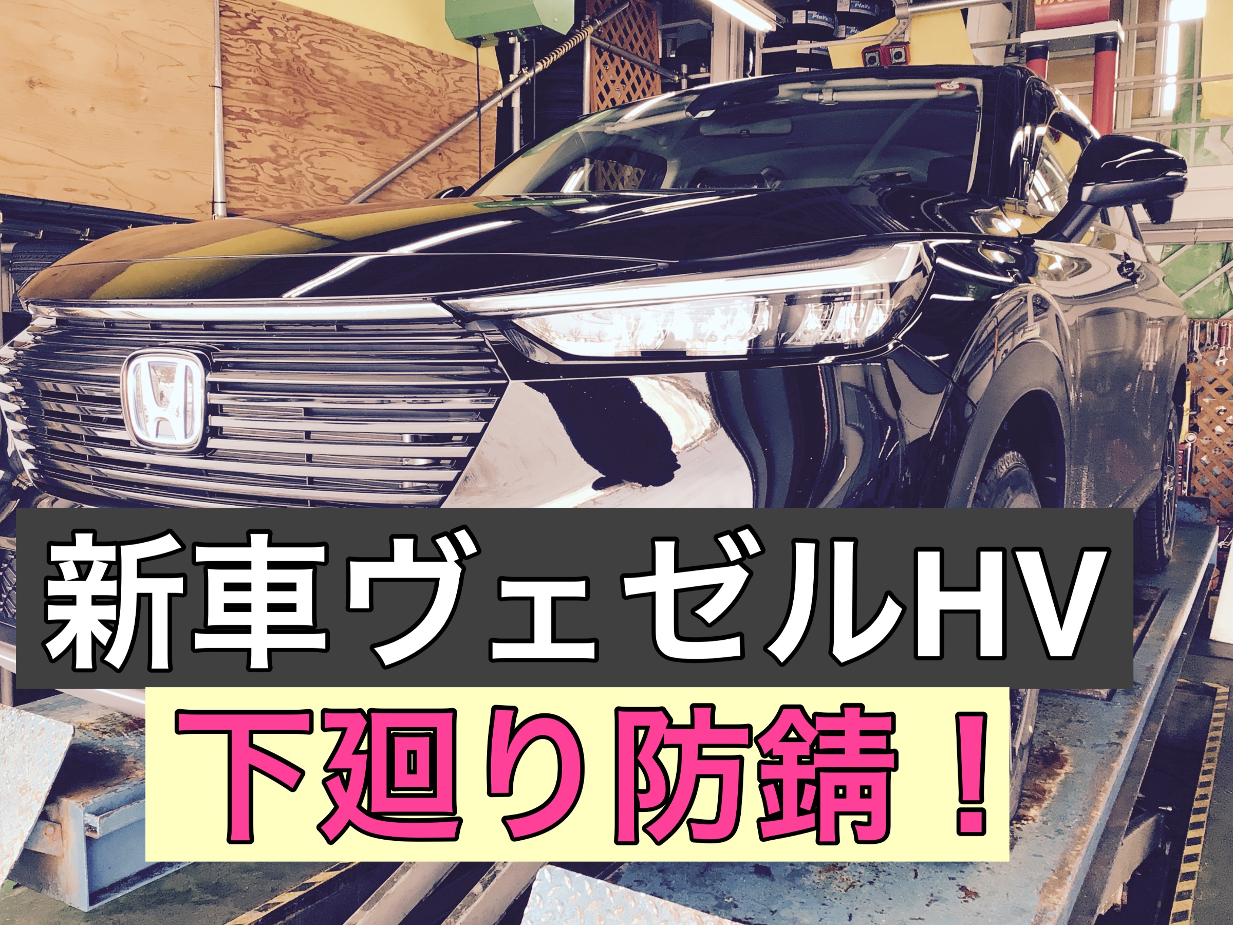 スタッフ撮影画像です