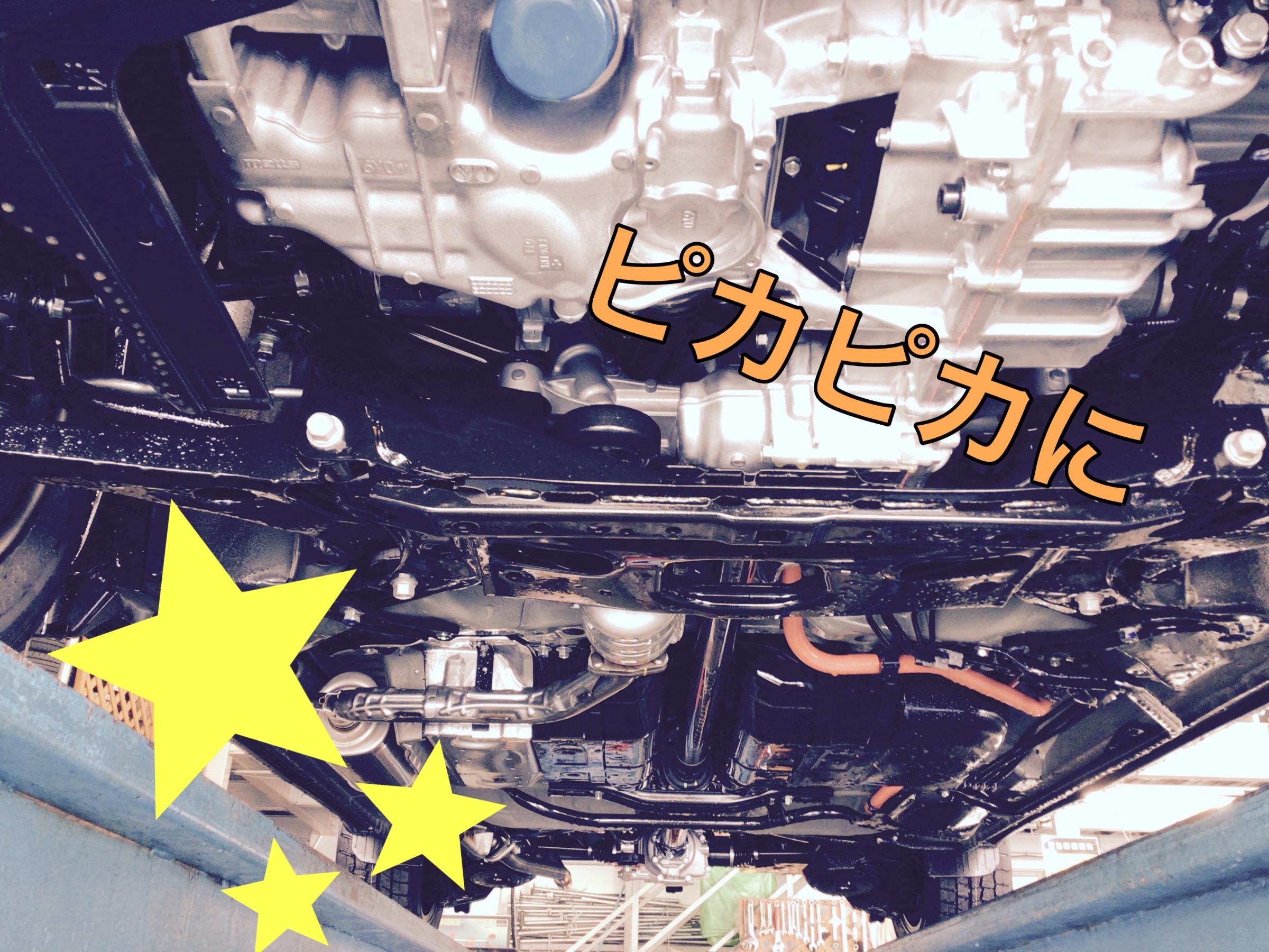 スタッフ撮影画像です