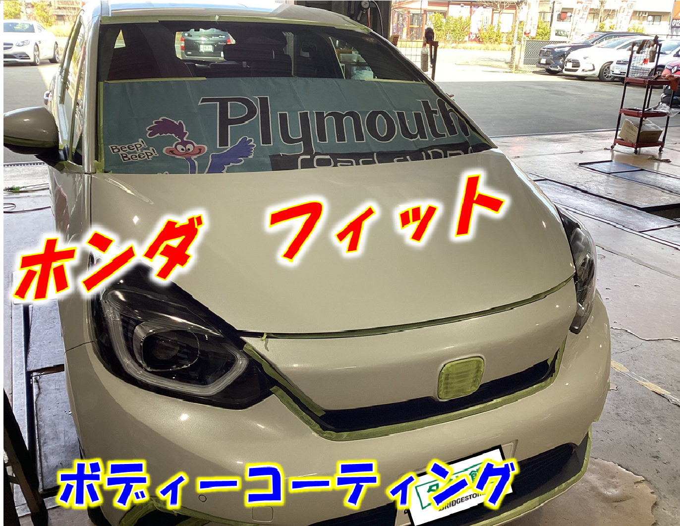 スタッフが撮影した写真です