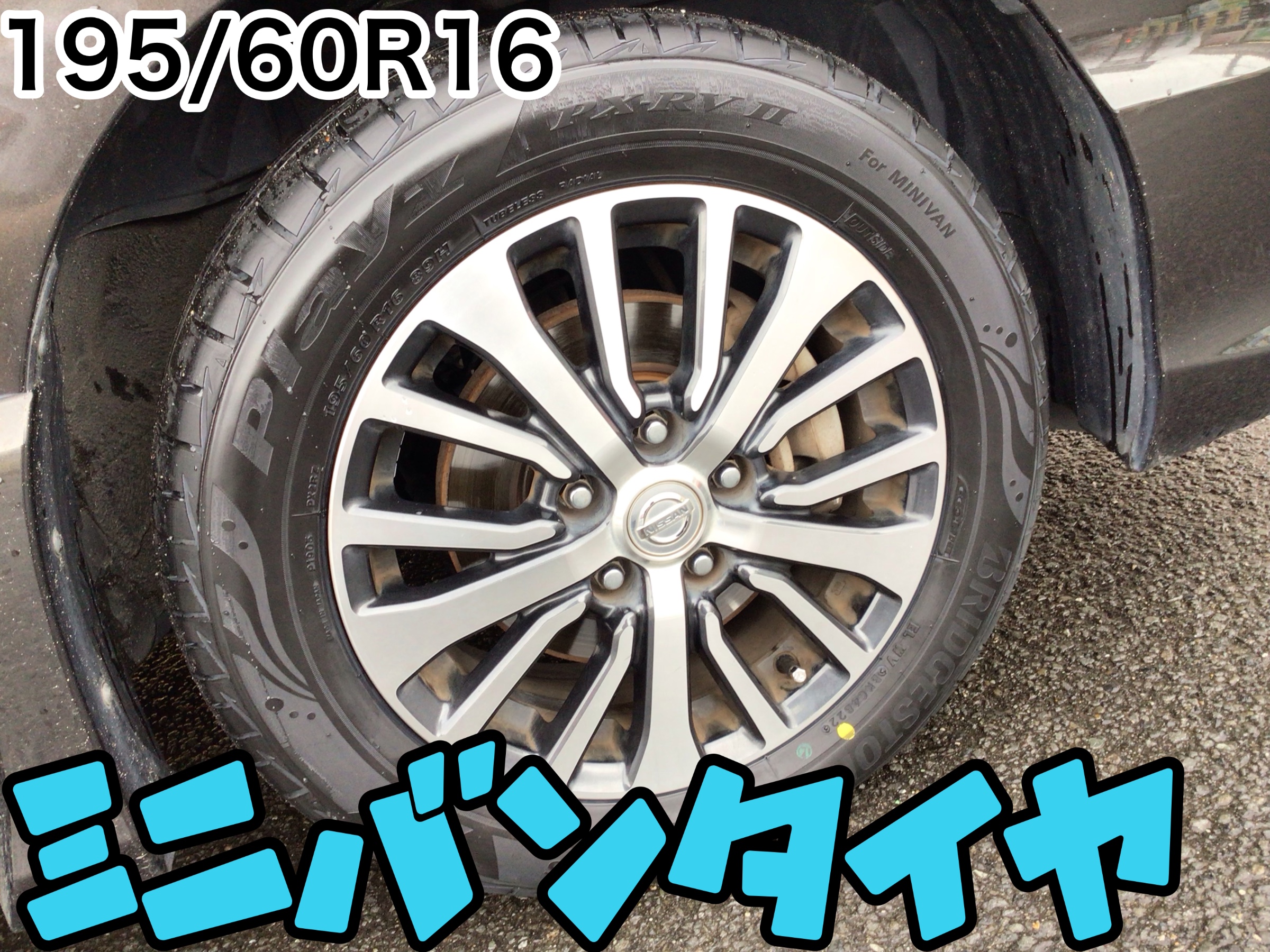 スタッフ撮影分