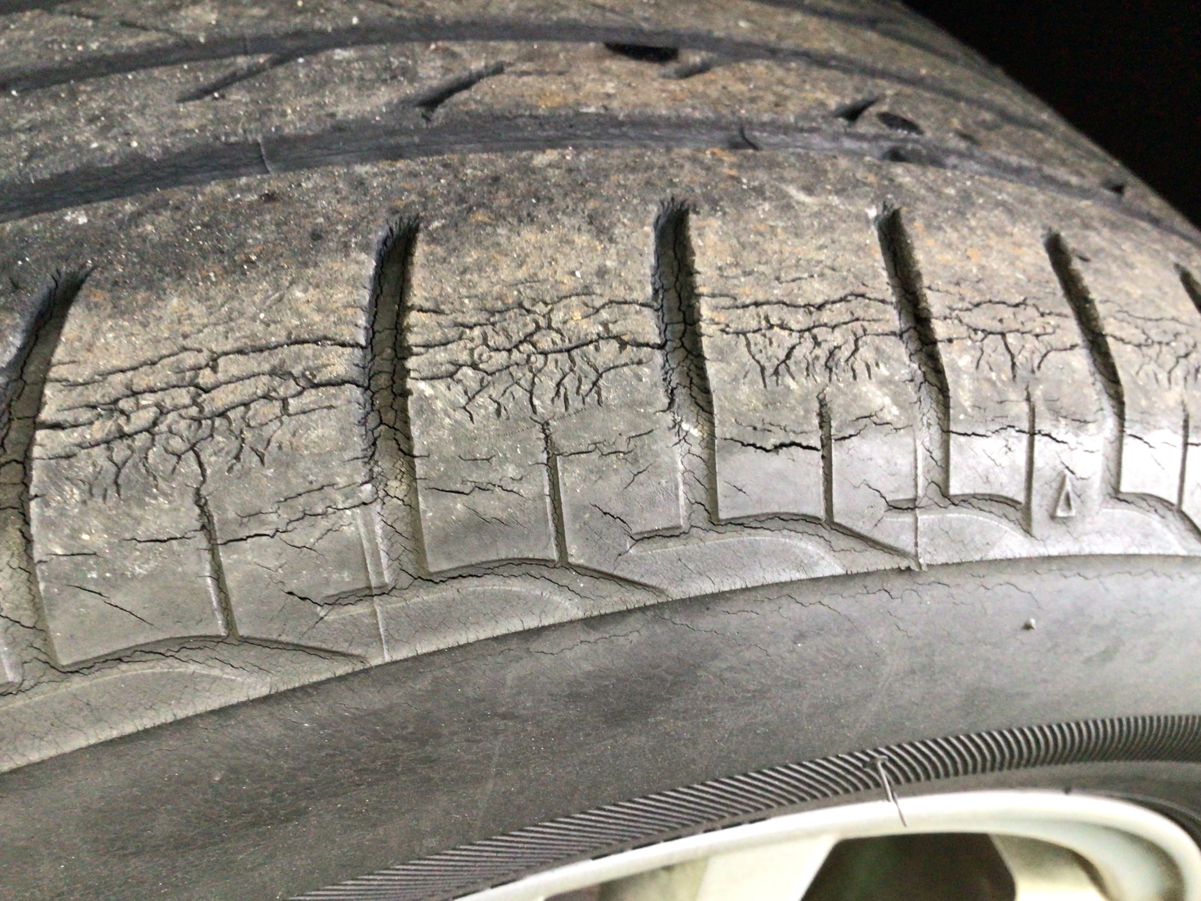 スタッフ撮影分