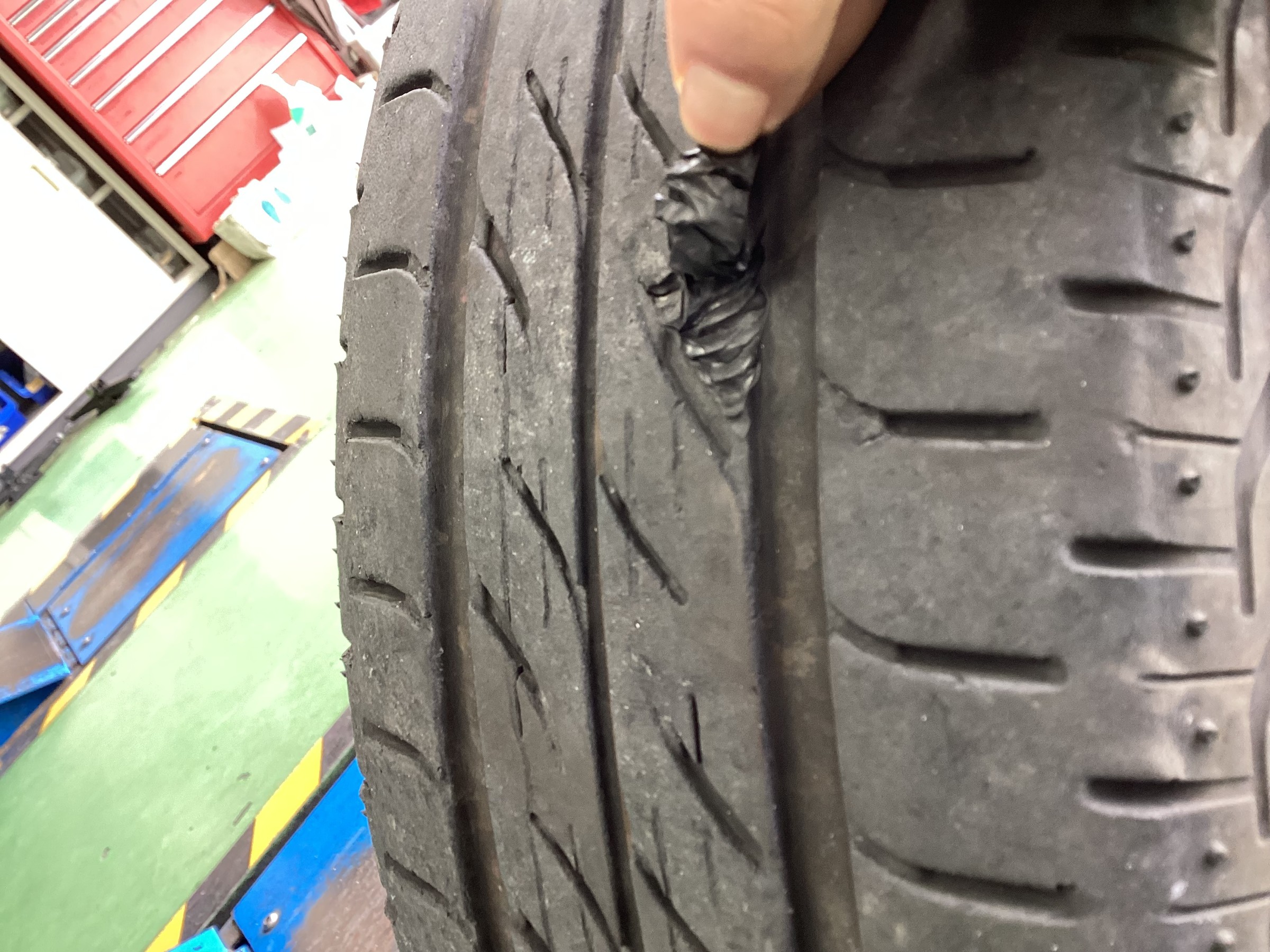 スタッフ撮影分