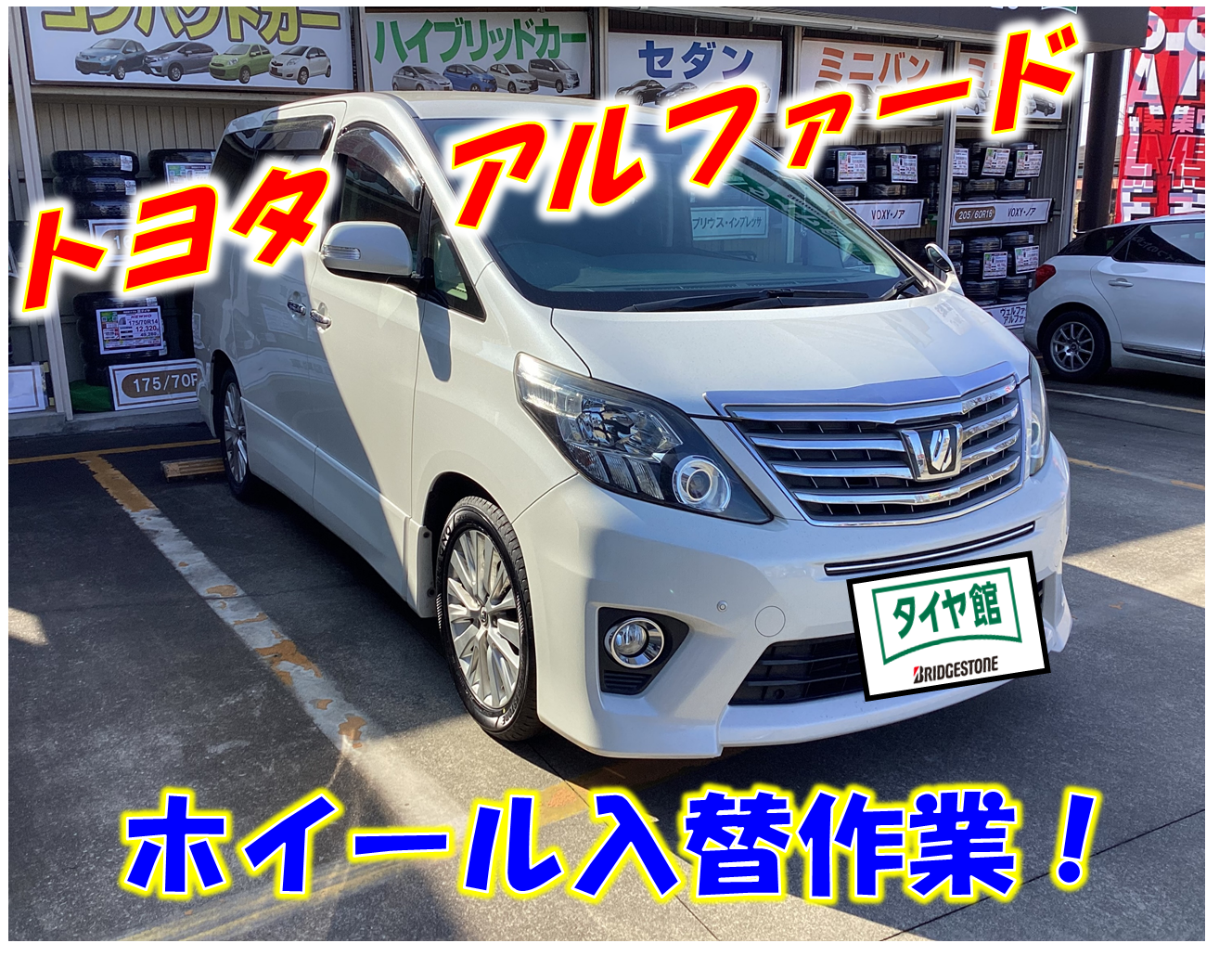 スタッフが撮影した画像