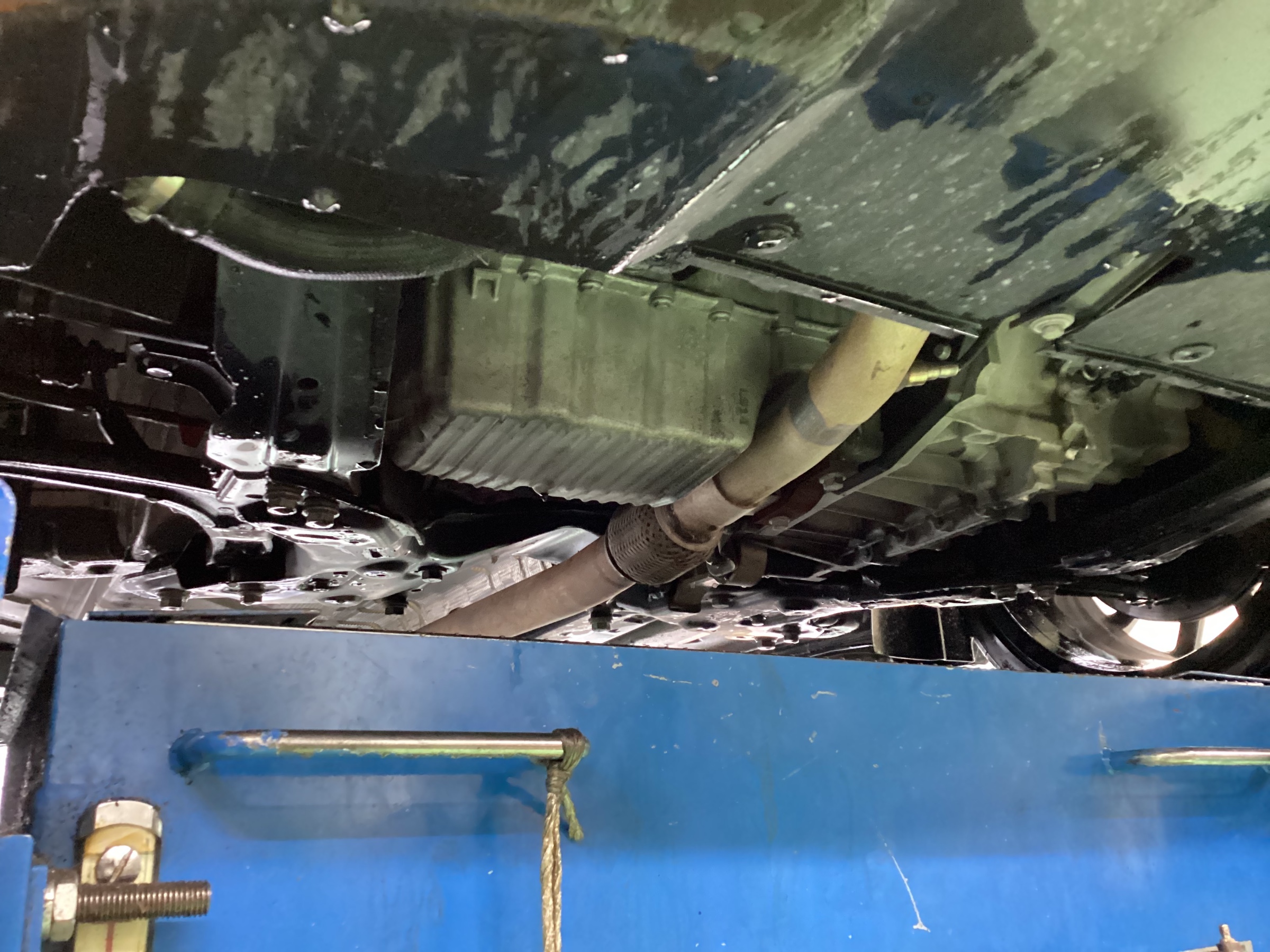 スタッフ撮影画像です。