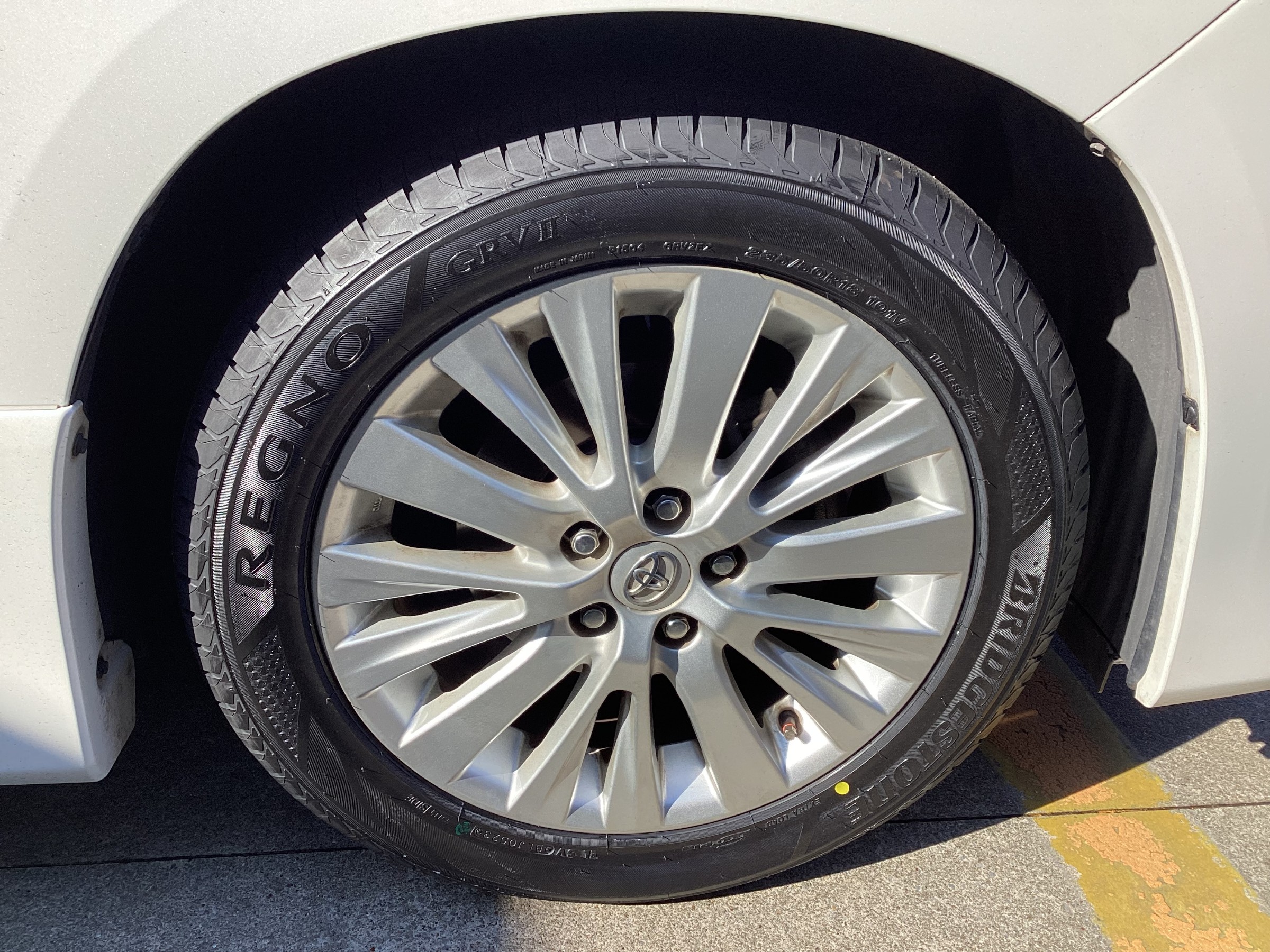 スタッフが撮影した画像