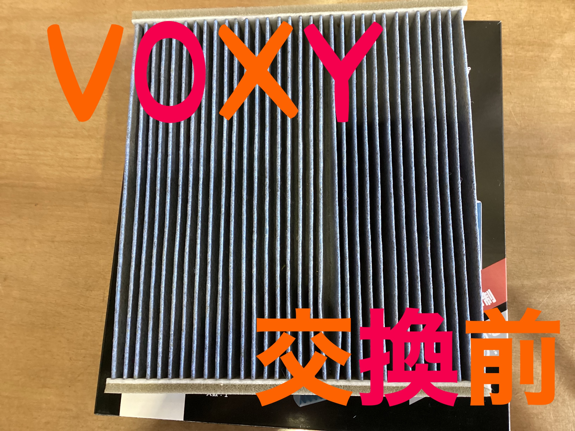 スタッフ撮影画像
