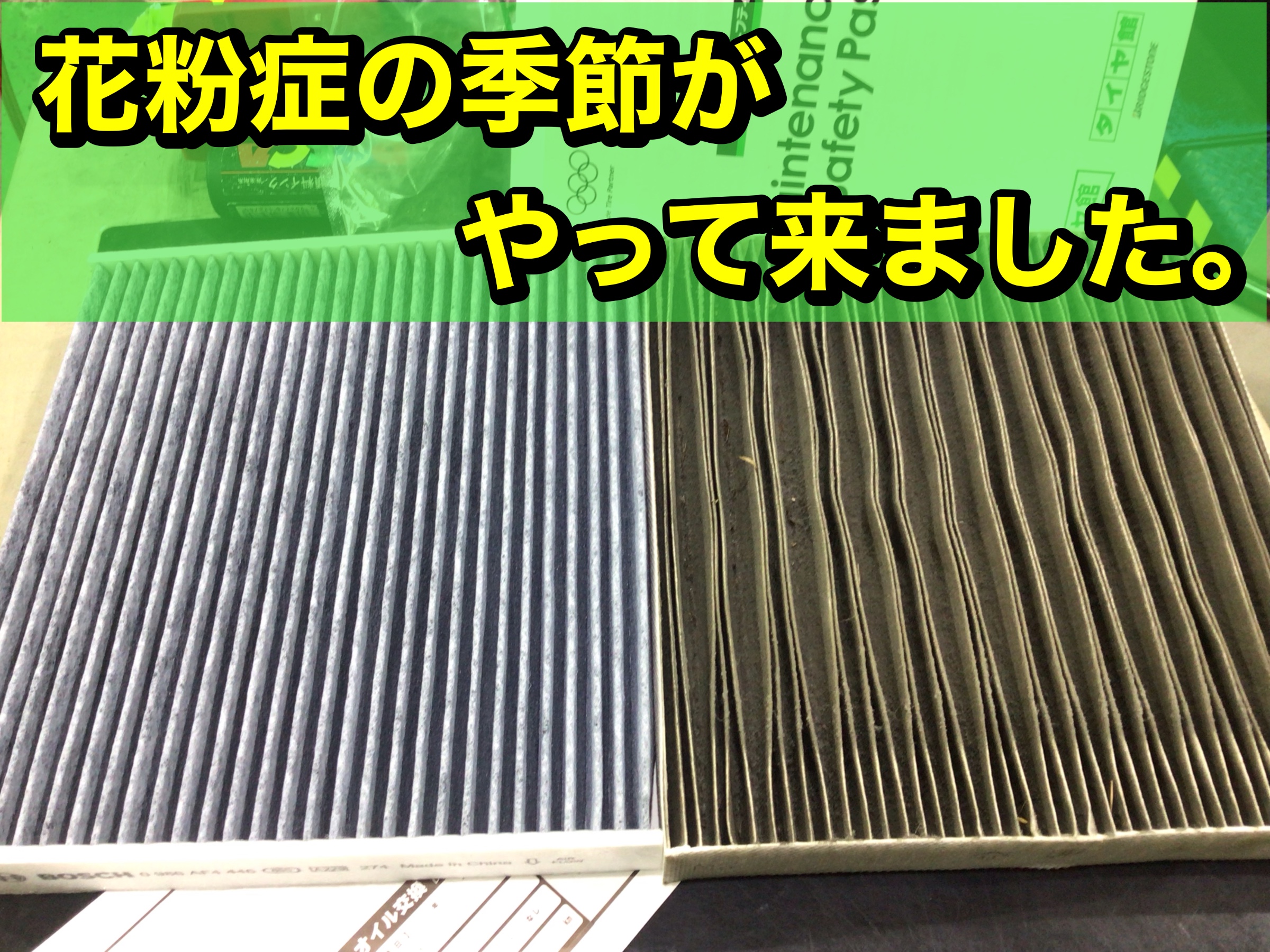 スタッフ