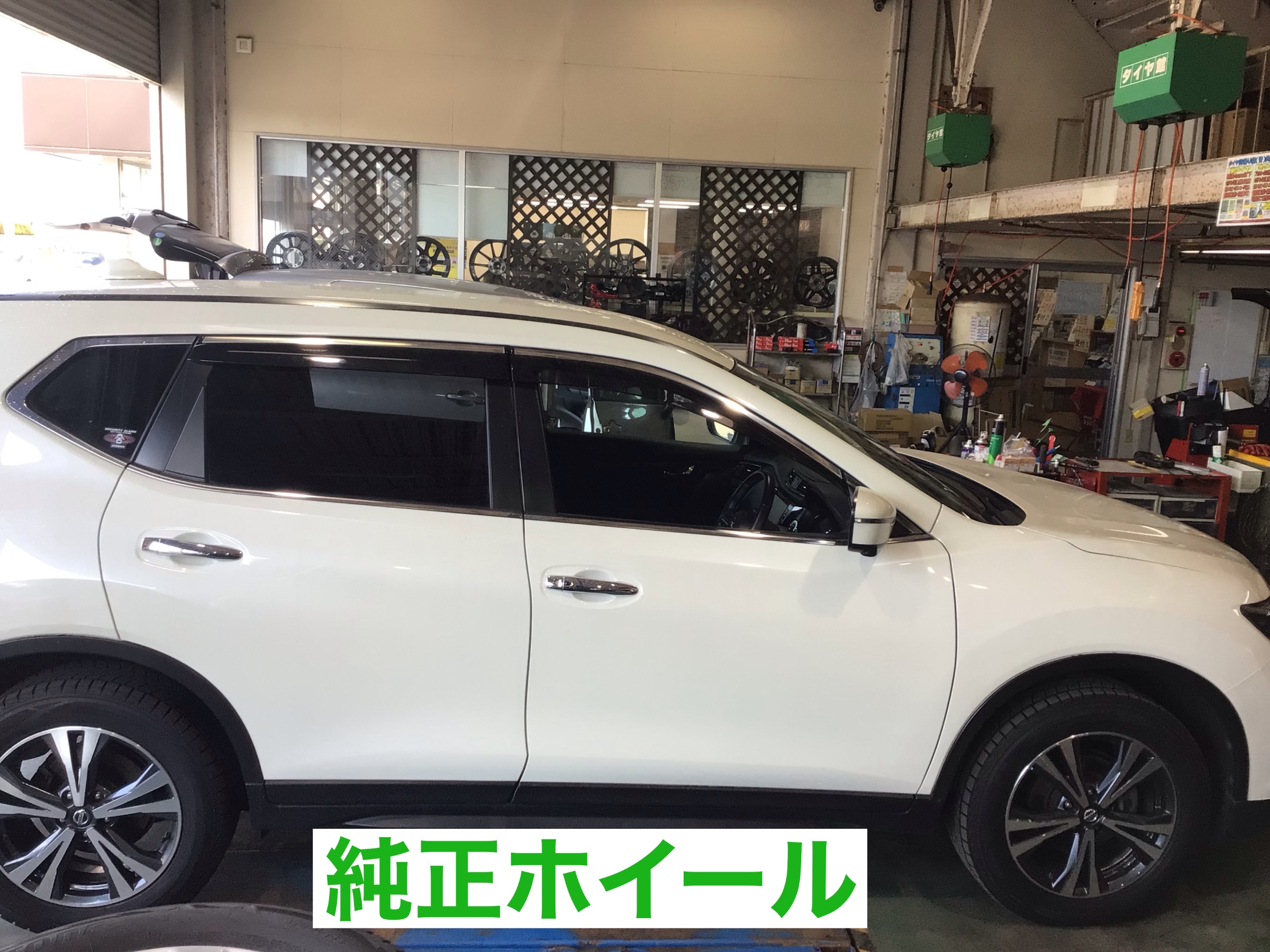 スタッフ撮影