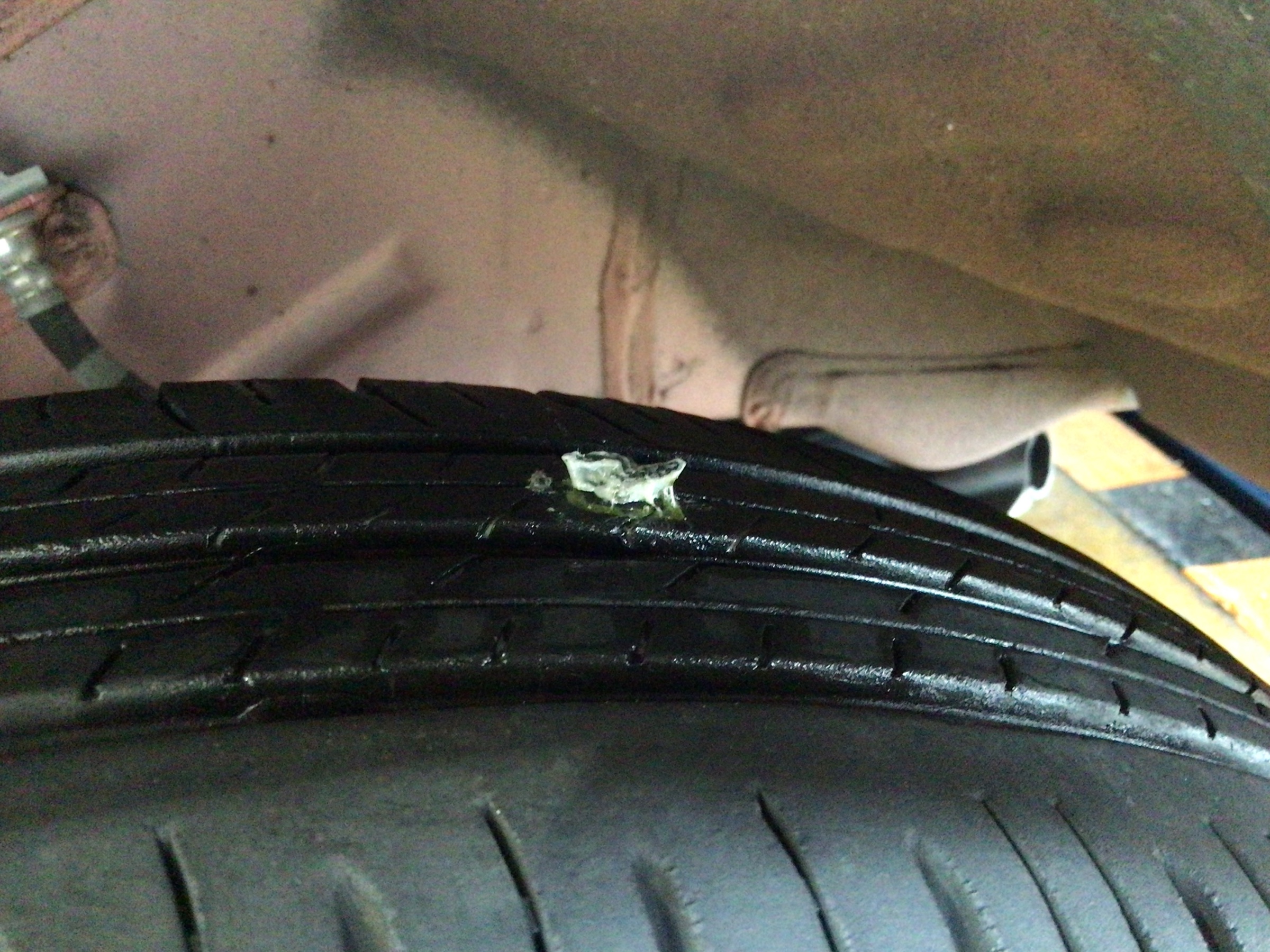 スタッフ撮影写真