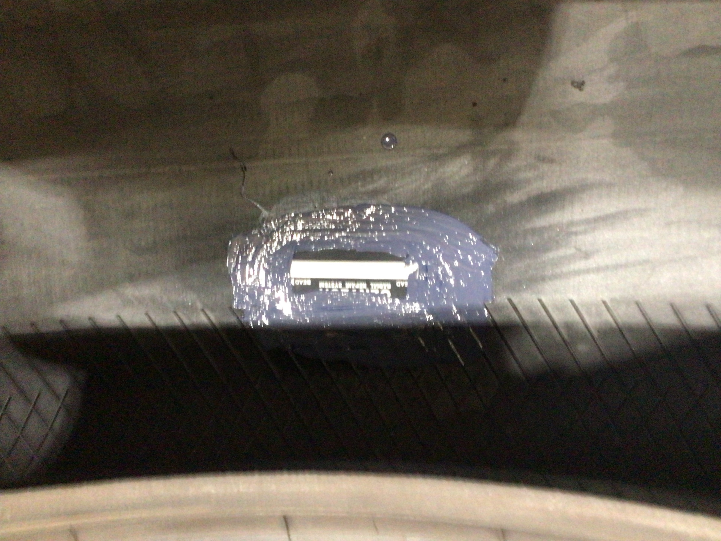 スタッフ撮影写真