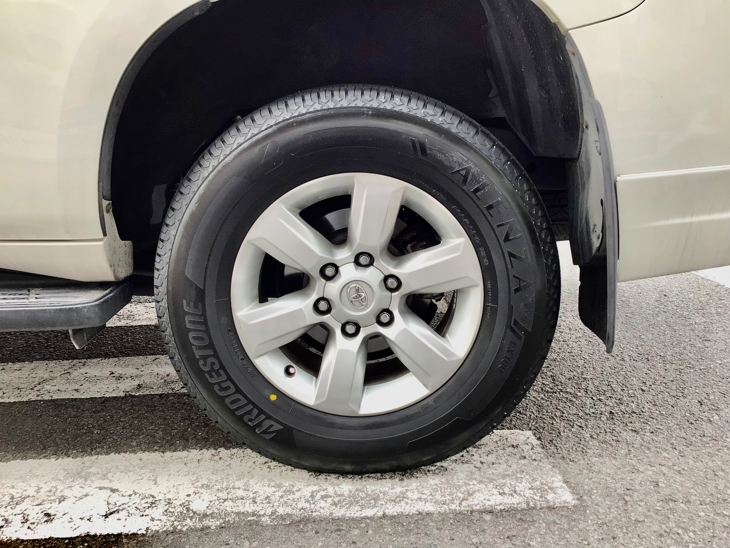 スタッフ撮影分