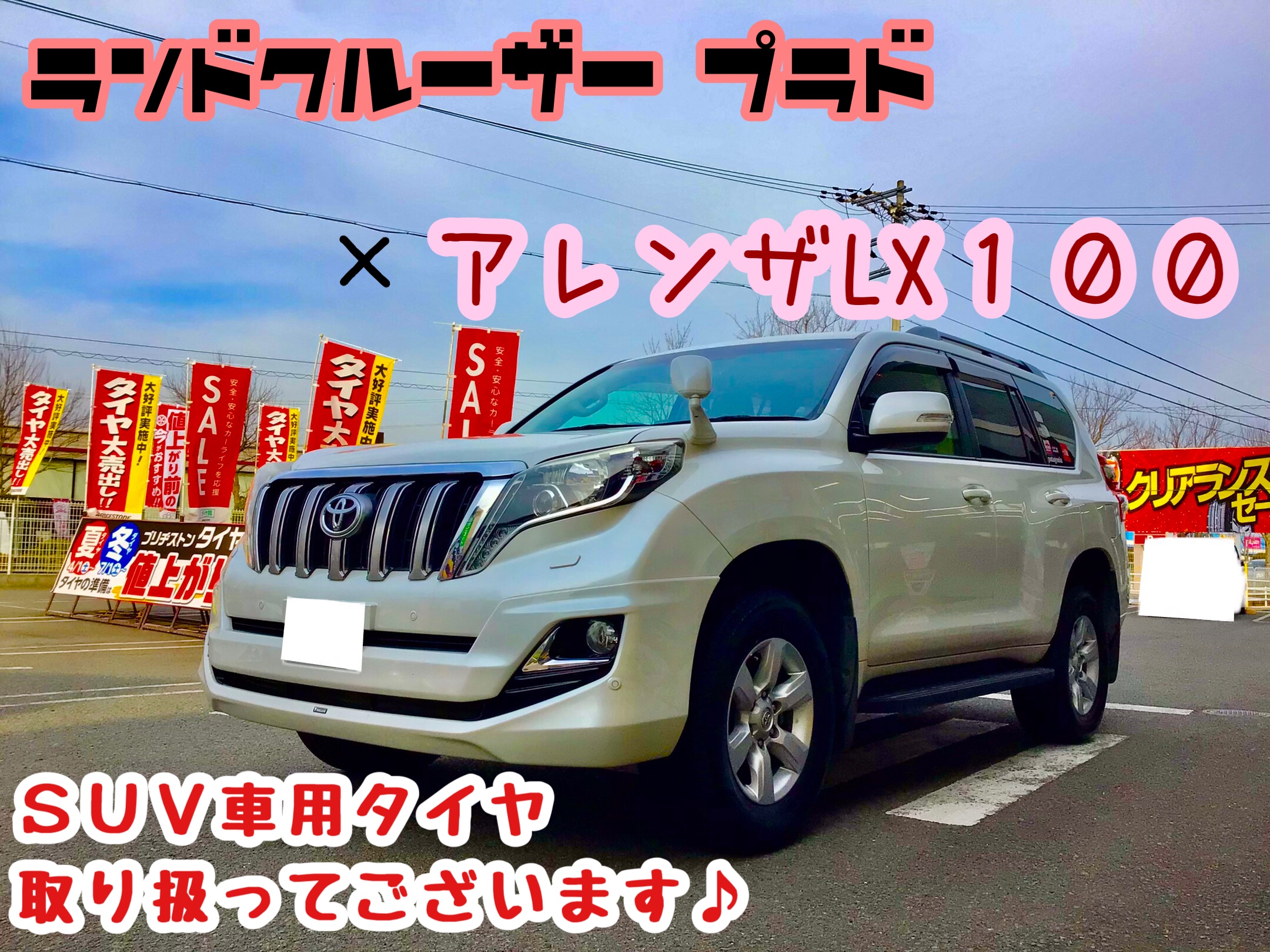 スタッフ撮影分