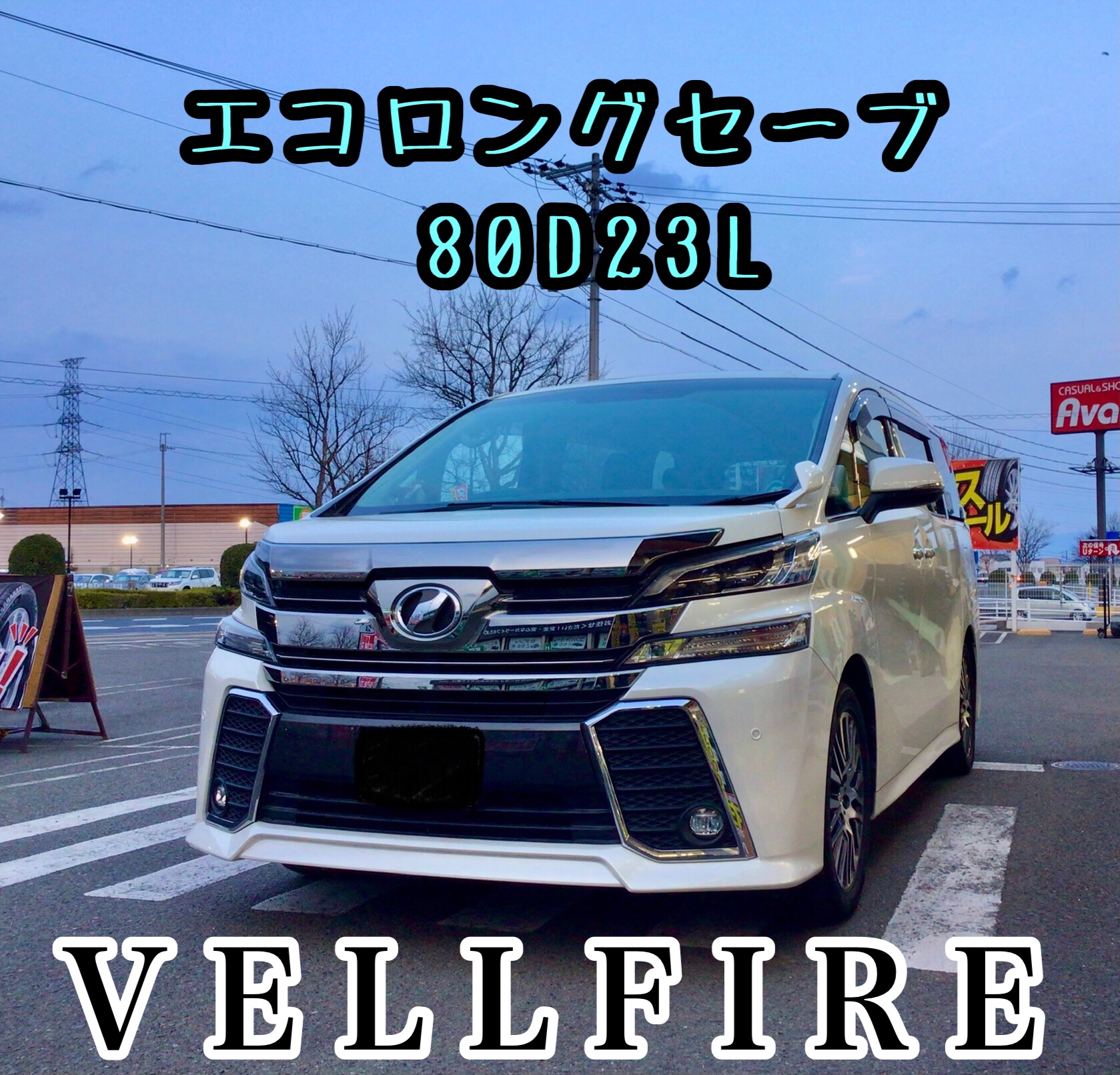 スタッフ撮影分