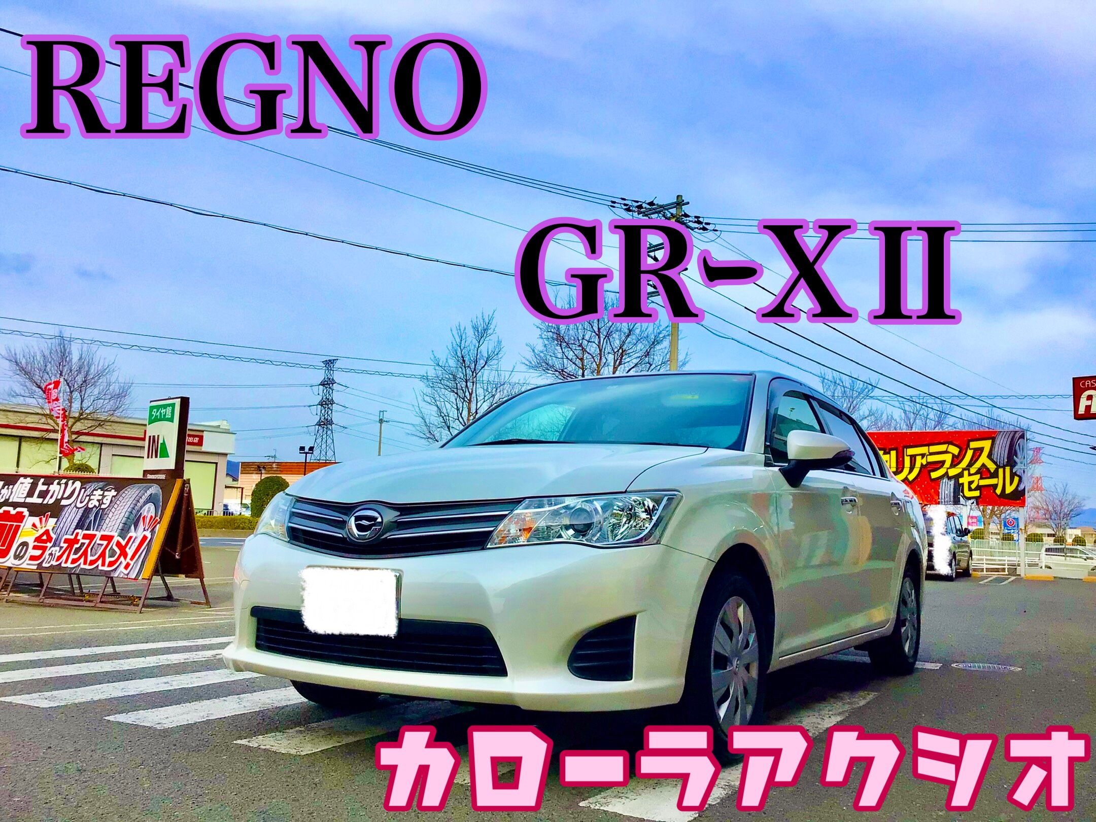 スタッフ撮影分