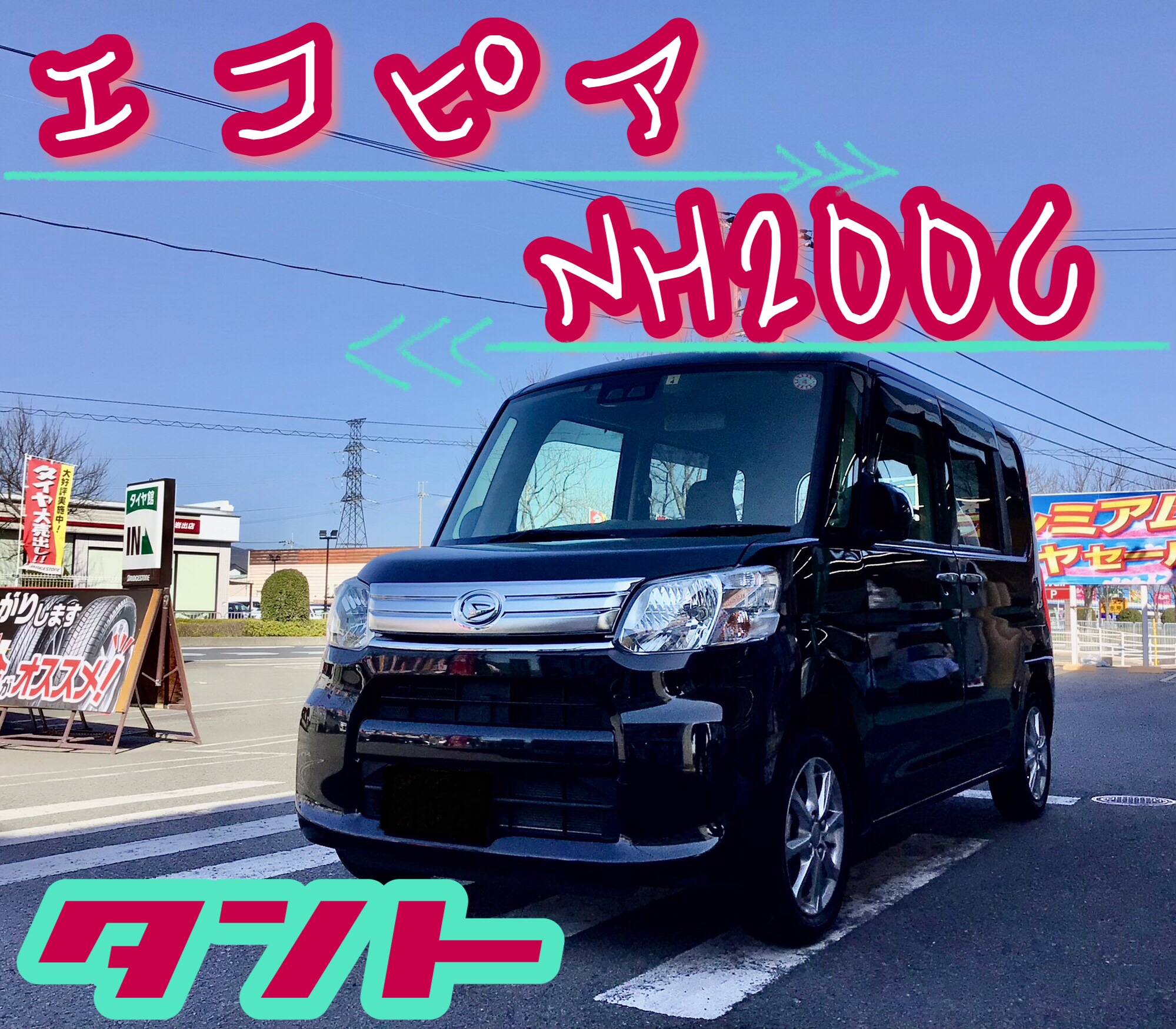 スタッフ撮影分