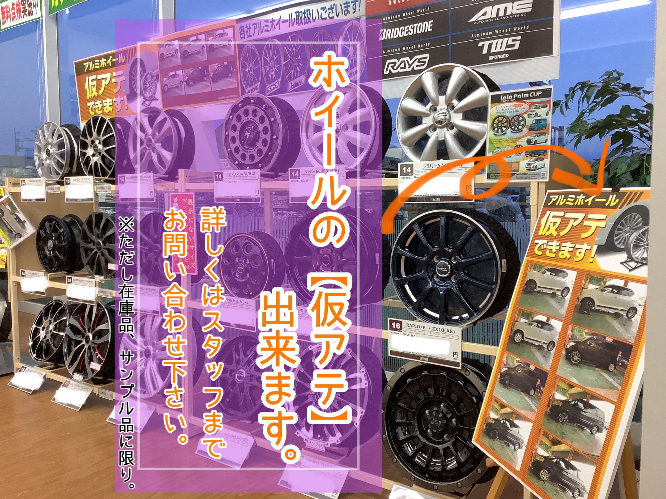 スタッフが撮影加工