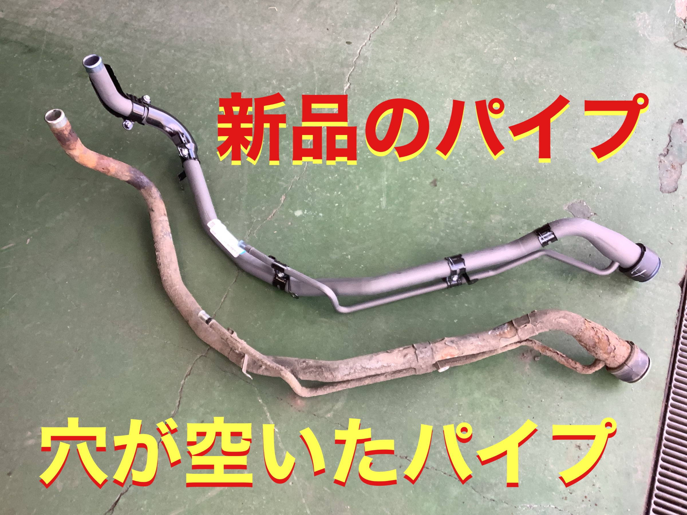 自店撮影です