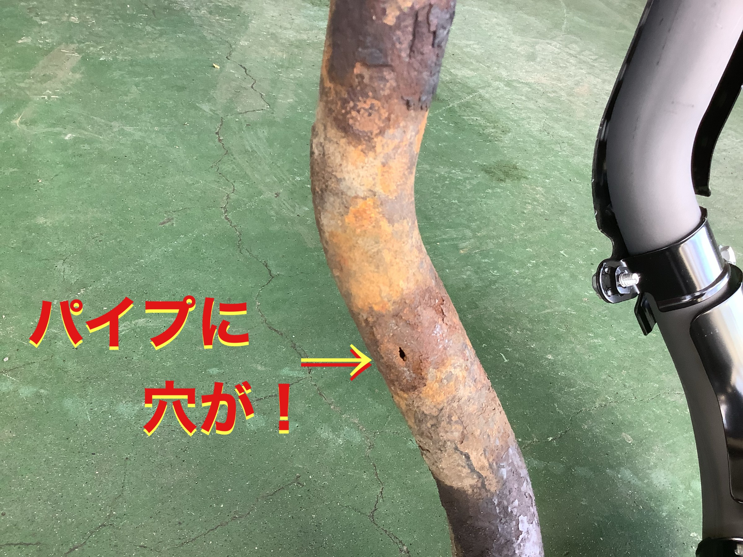 自店撮影です