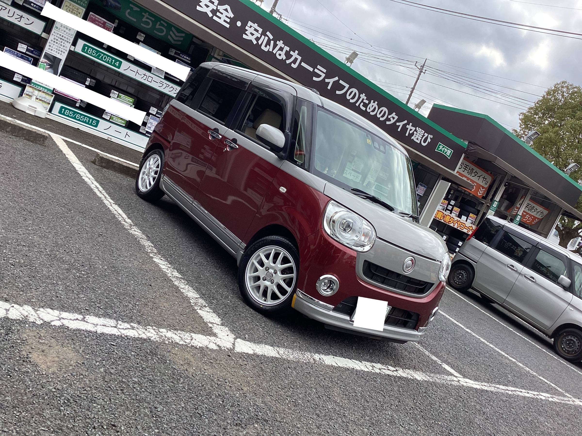 メディアスジャパン☆変更可 51BjsKk+tSL._UY300_.jpg