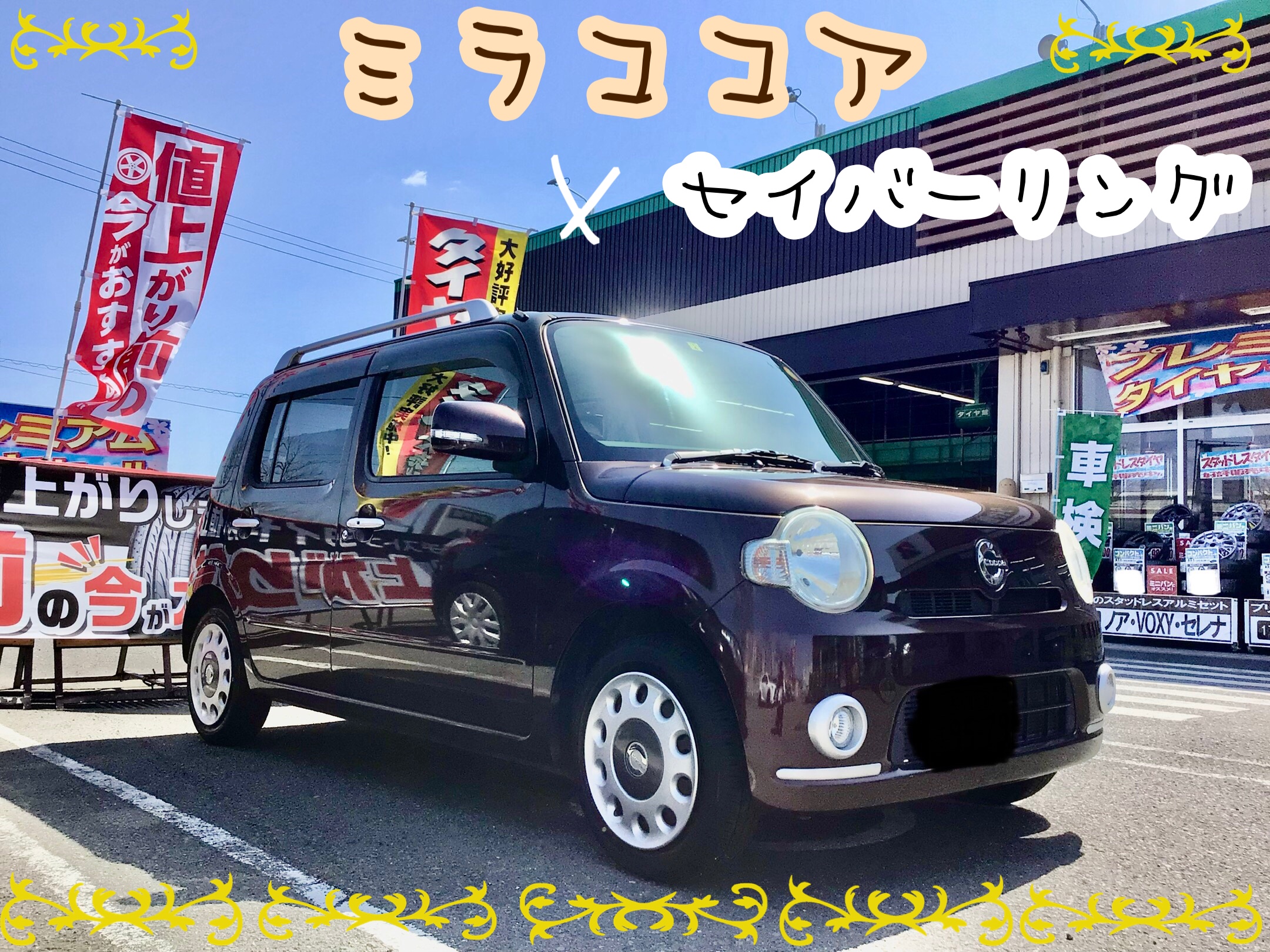 スタッフ撮影分