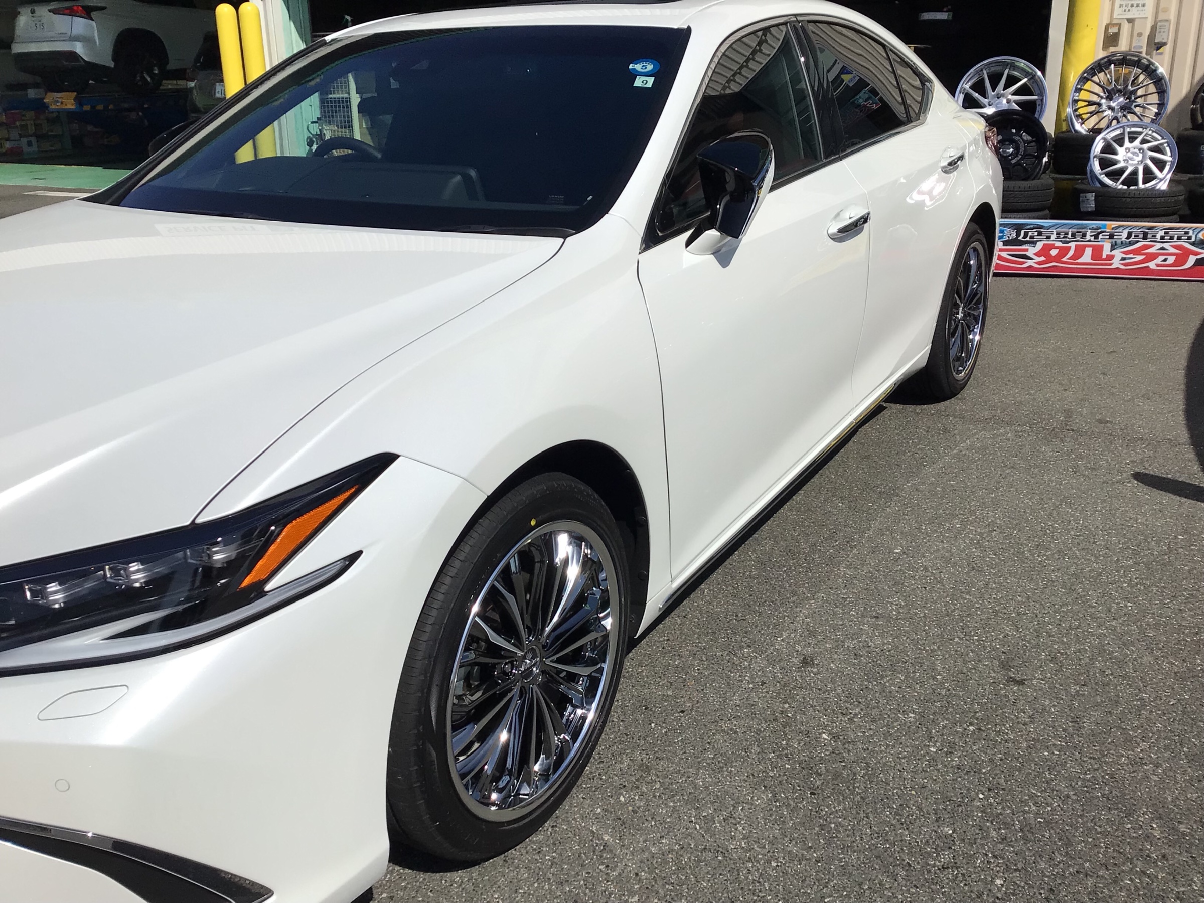 スタッフ撮影画像です