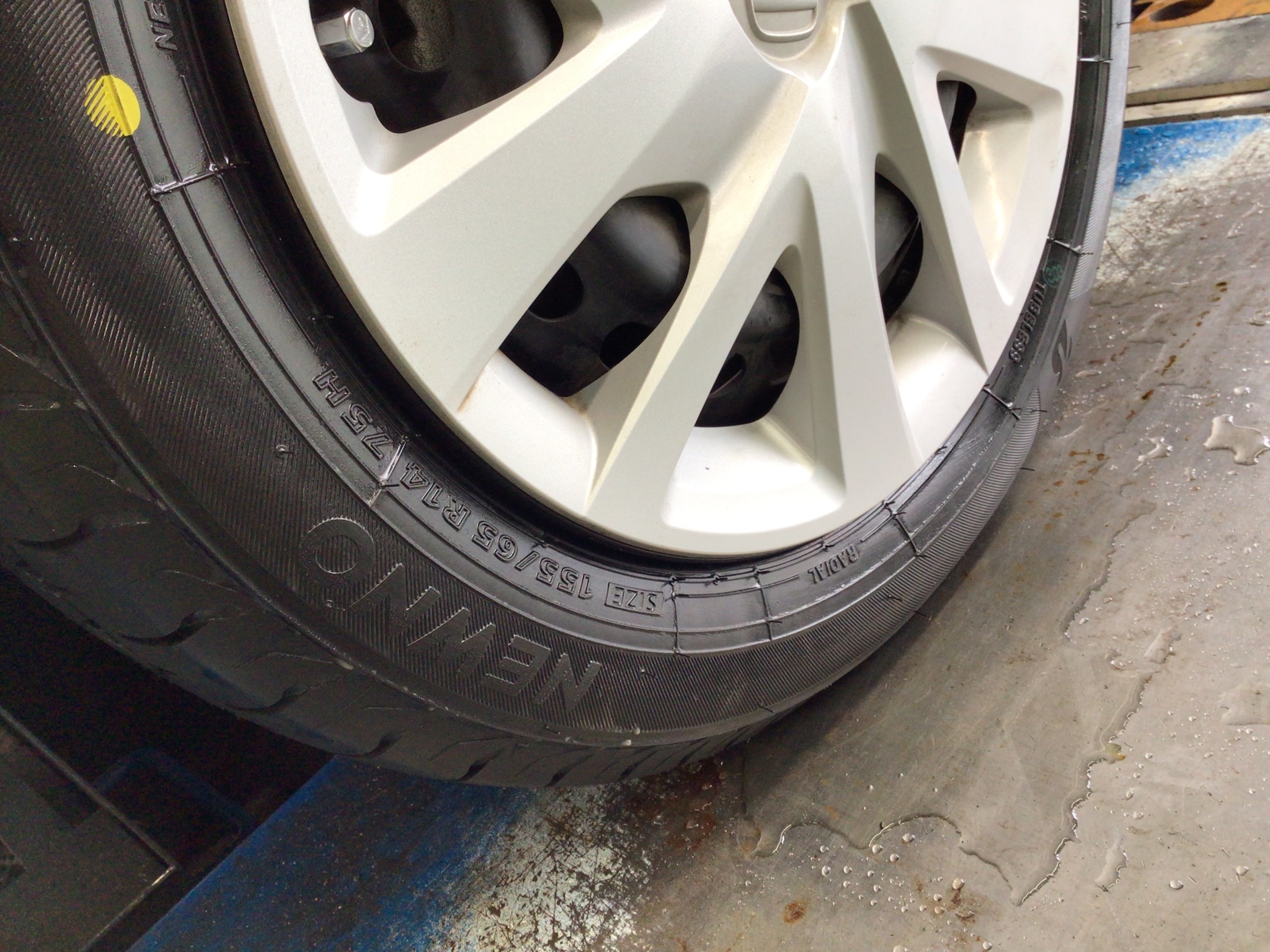 スタッフ撮影分