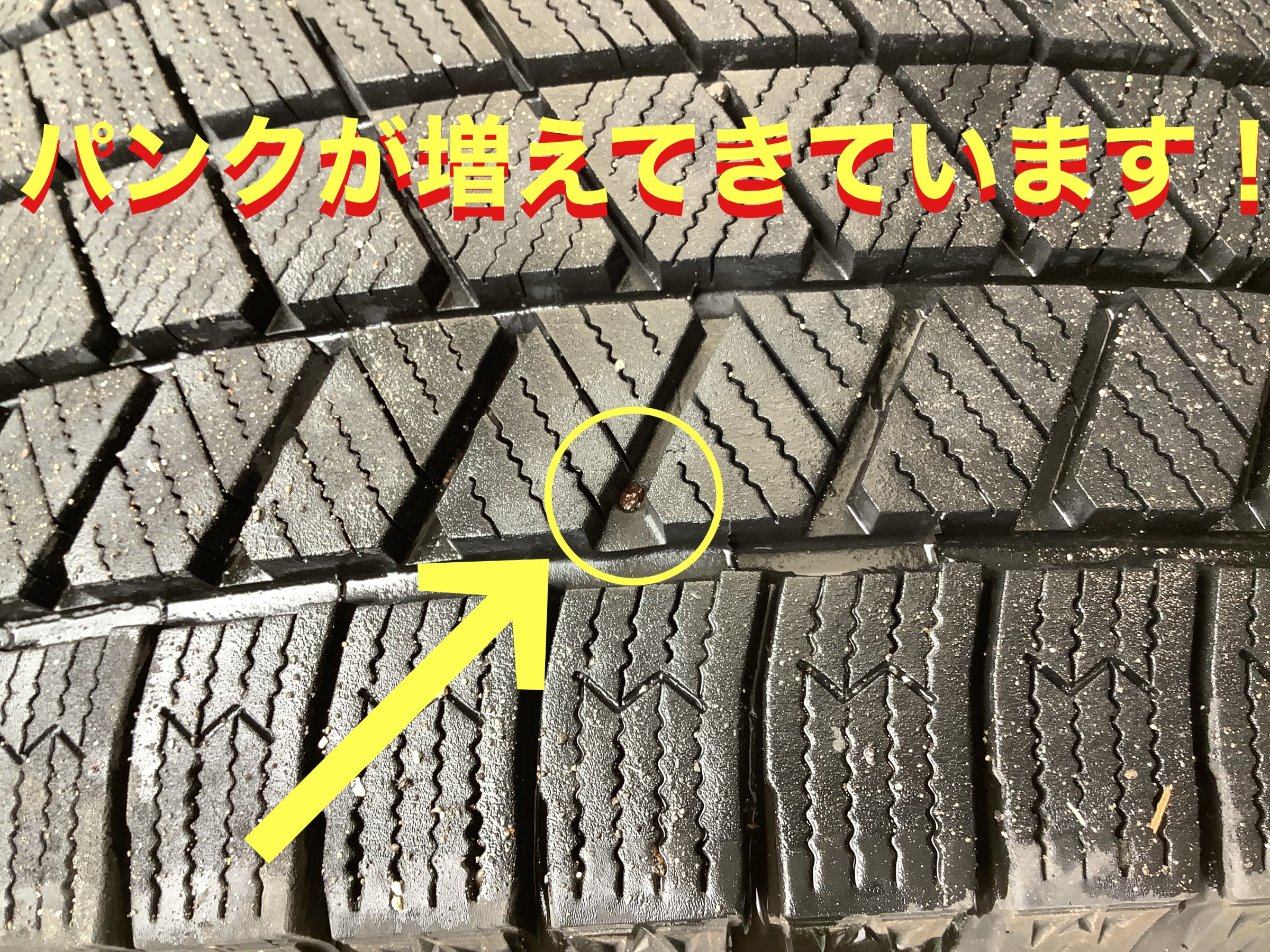 自店撮影