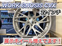 WORK GNOSIS CVX(グノーシス・シーブイエックス) | 店舗おススメ情報