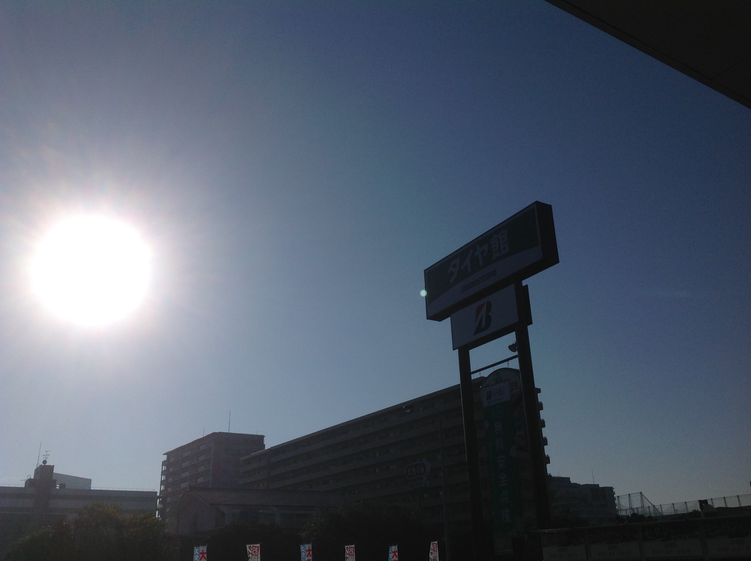 スタッフ撮影
