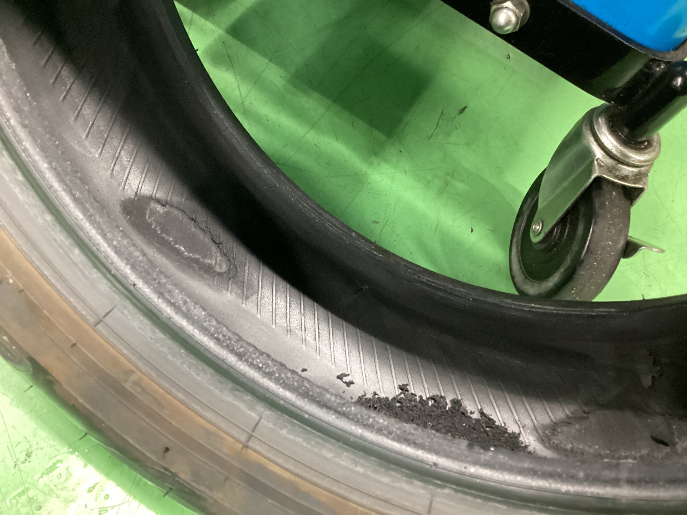 スタッフ撮影画像になります