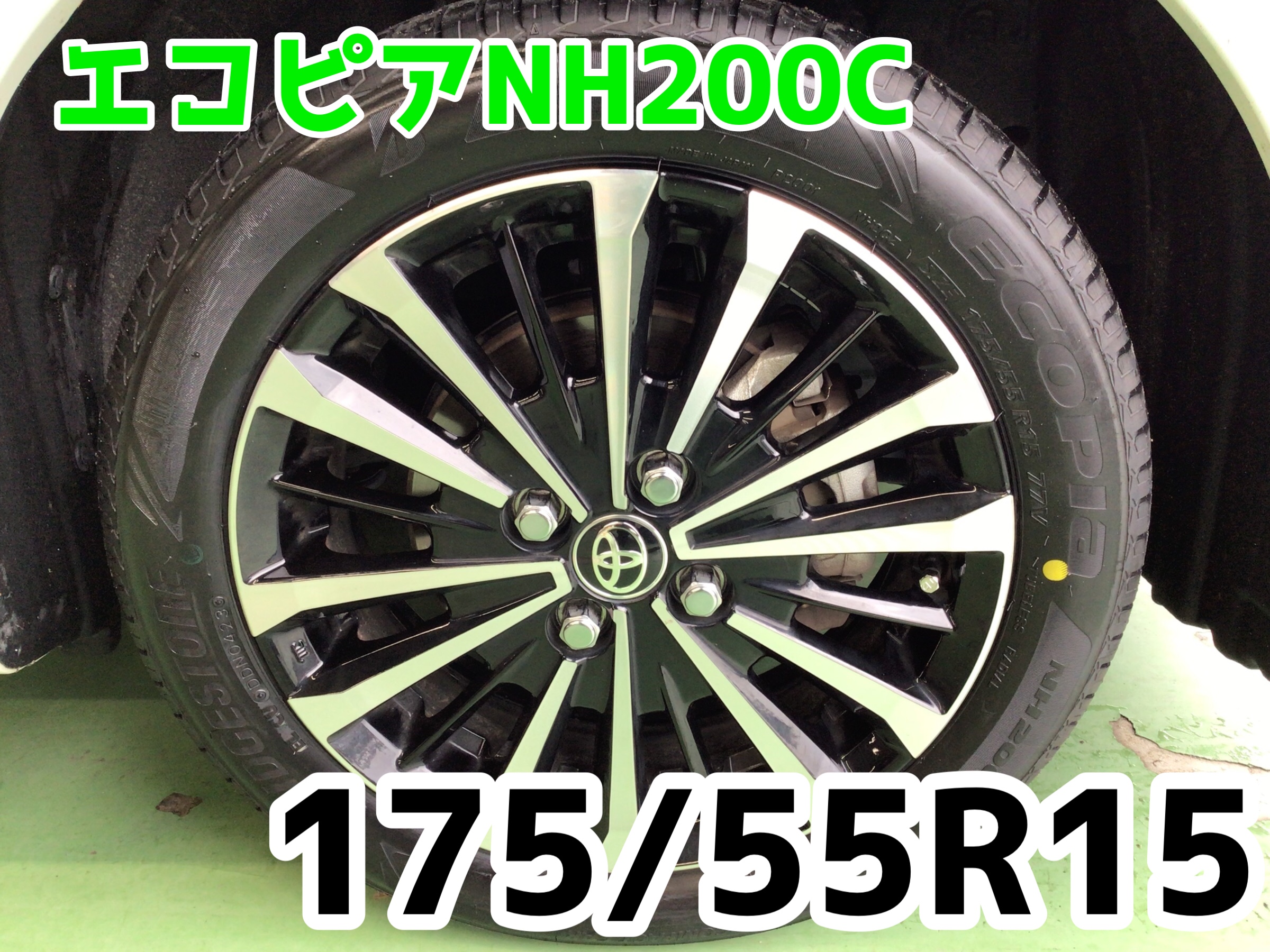 スタッフ撮影分