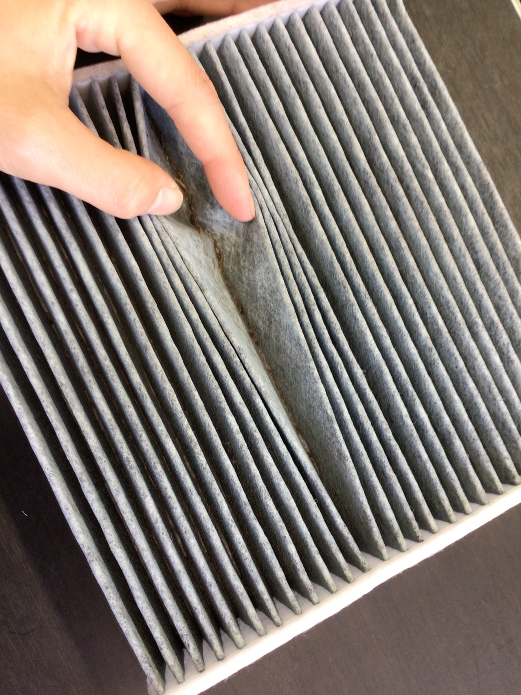 スタッフ撮影分