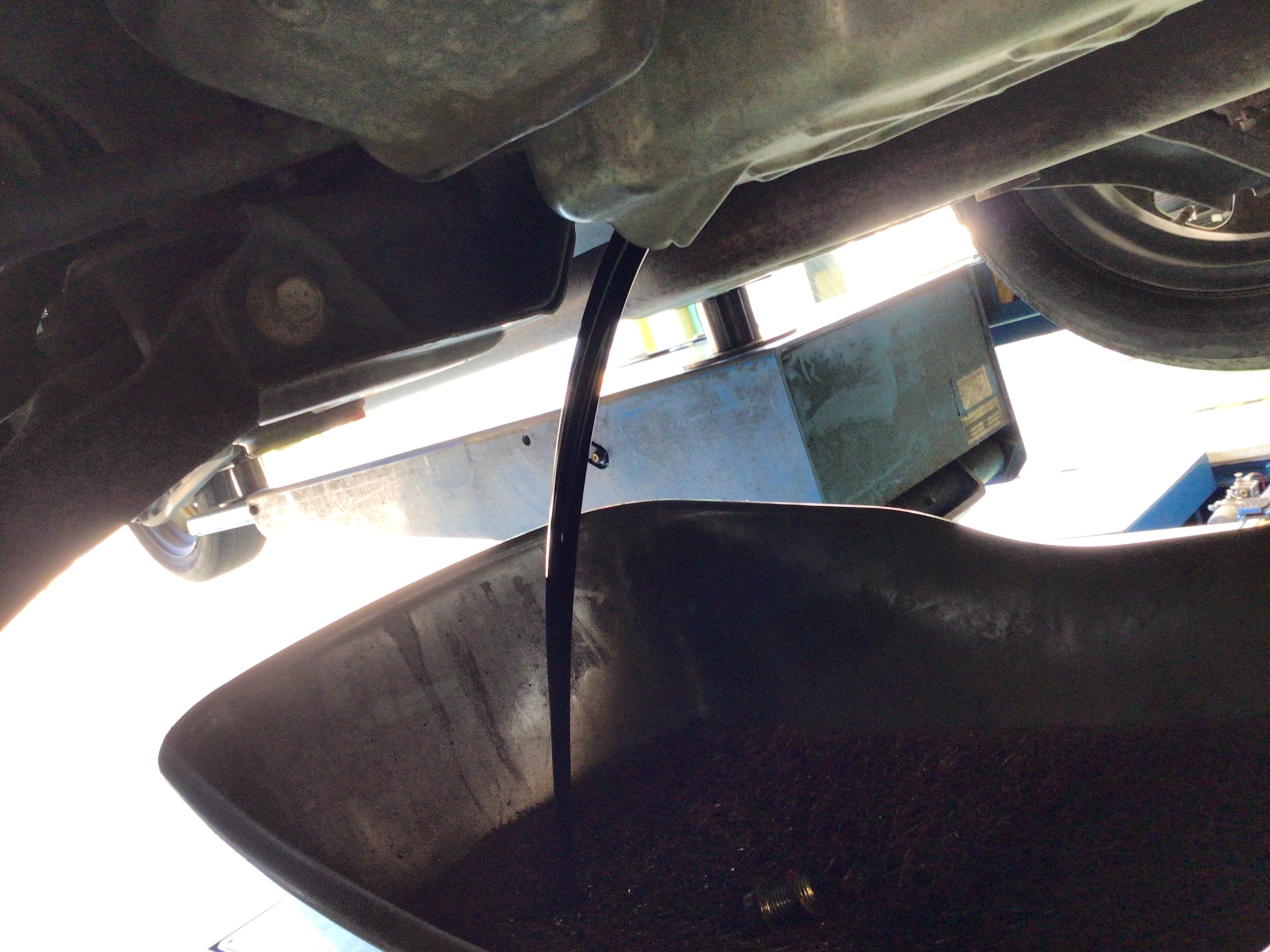 スタッフ撮影分