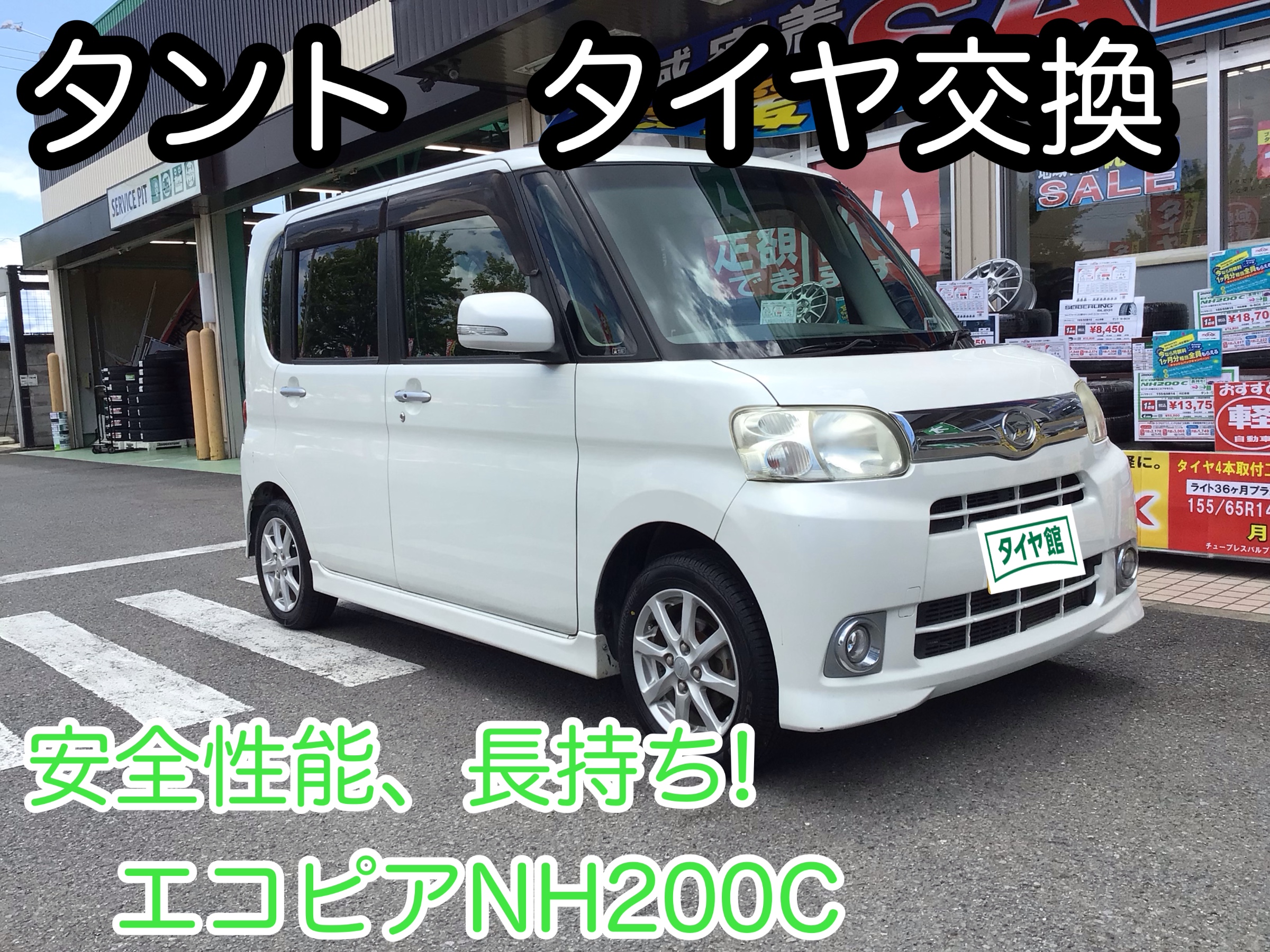 スタッフ撮影分