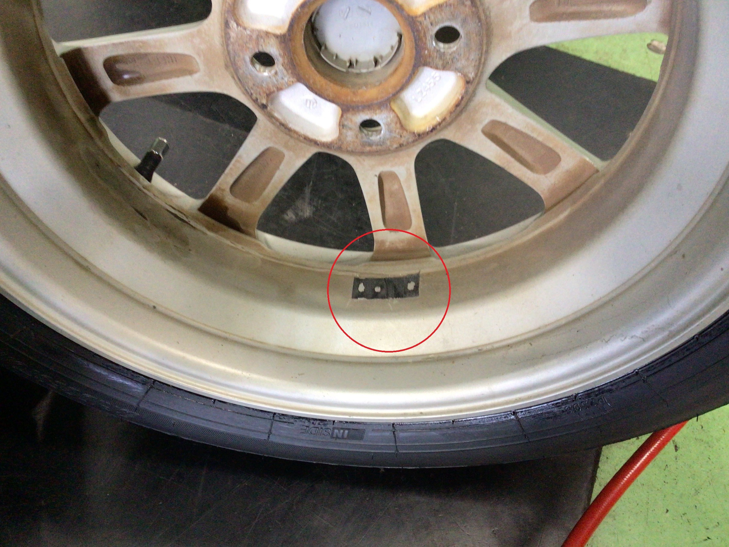 スタッフ撮影分