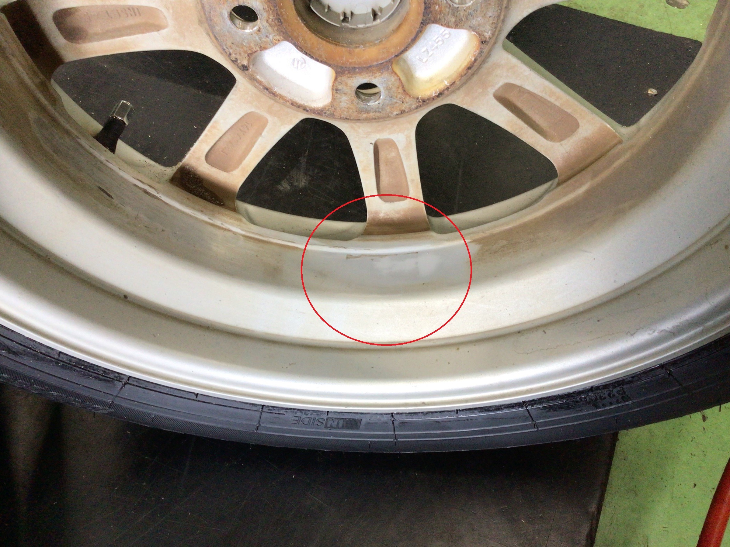 スタッフ撮影分